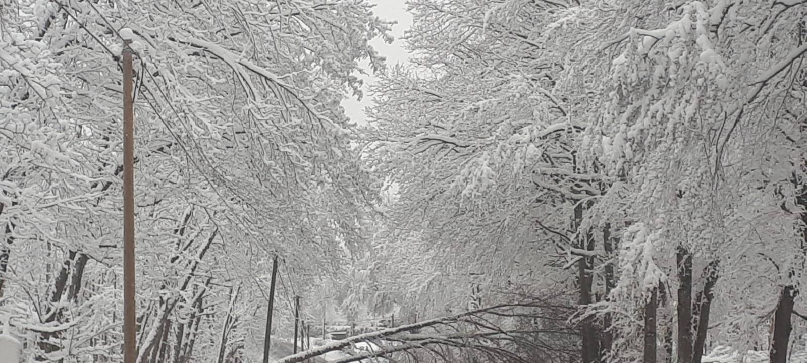 Vorsicht - Schneebruch!