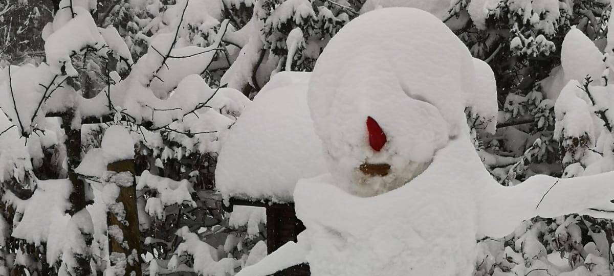 Präsenzunterricht fällt weiter aus