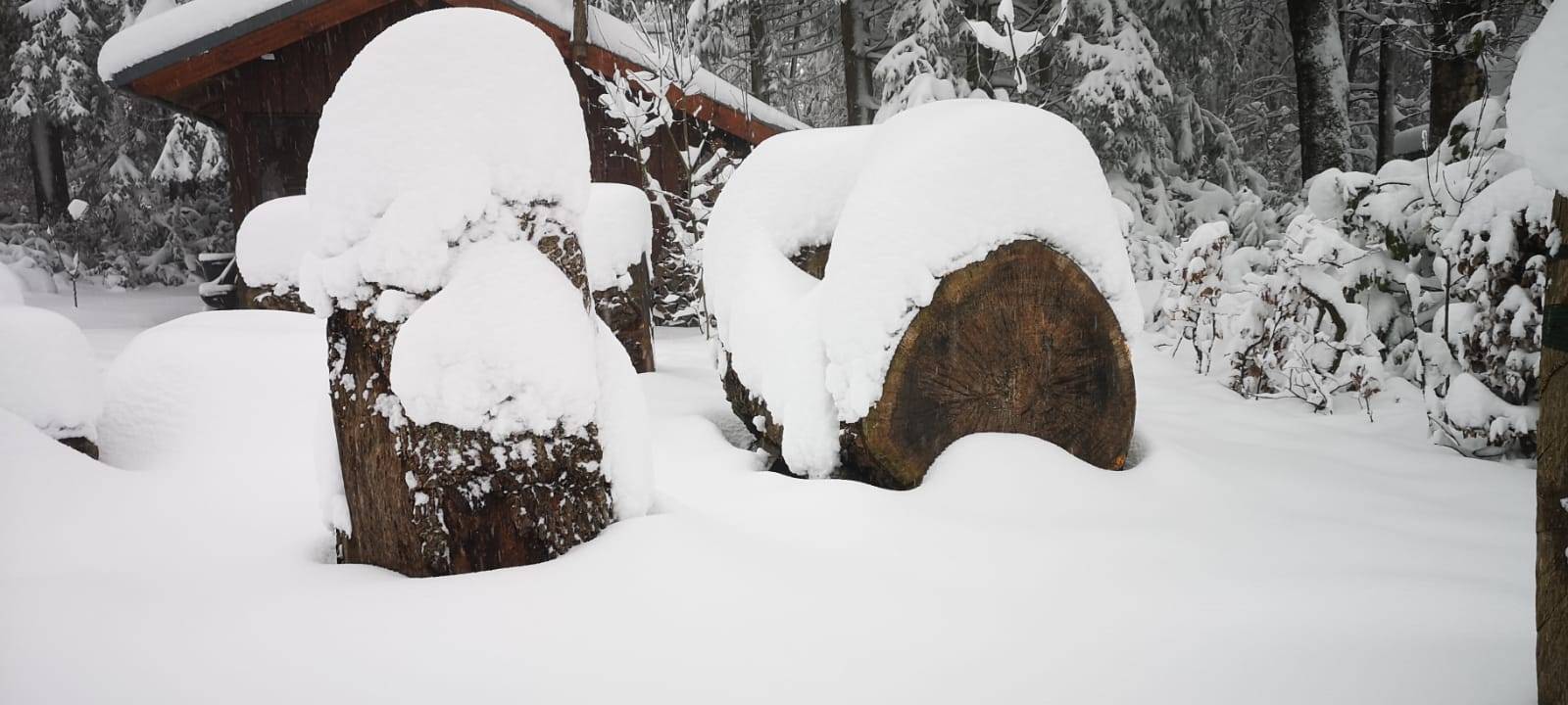 Eifel: Nicht in die Wälder!