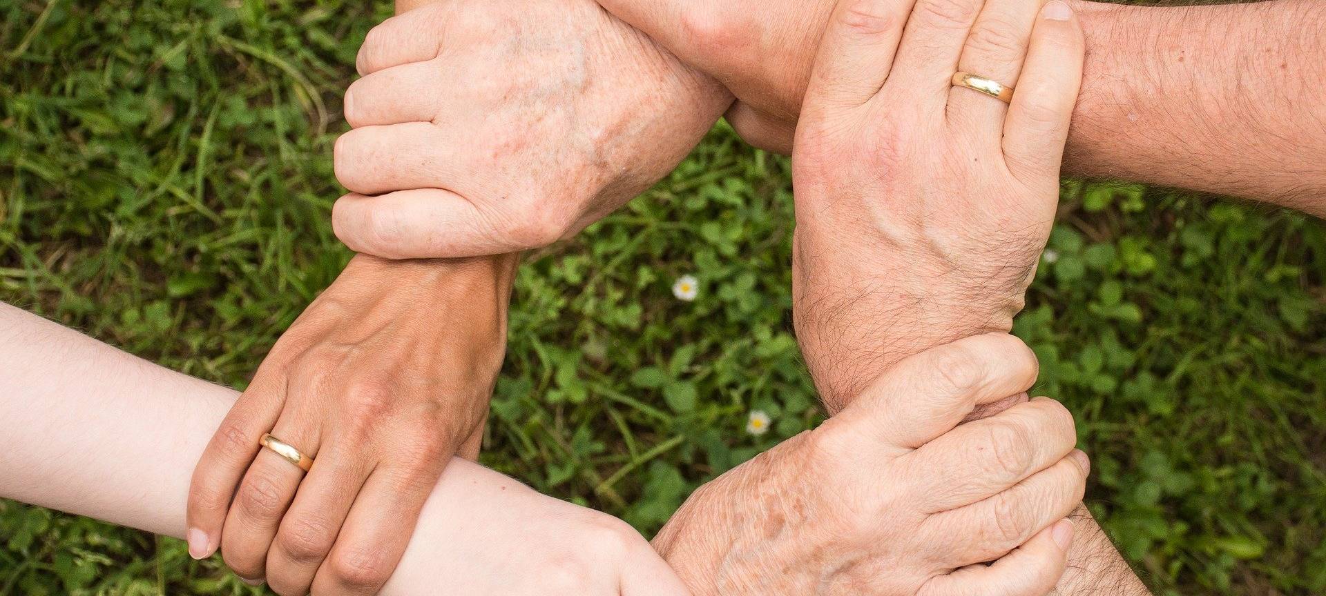 Die Zukunft: Mehr Gemeinschaftsgärten in Aachen