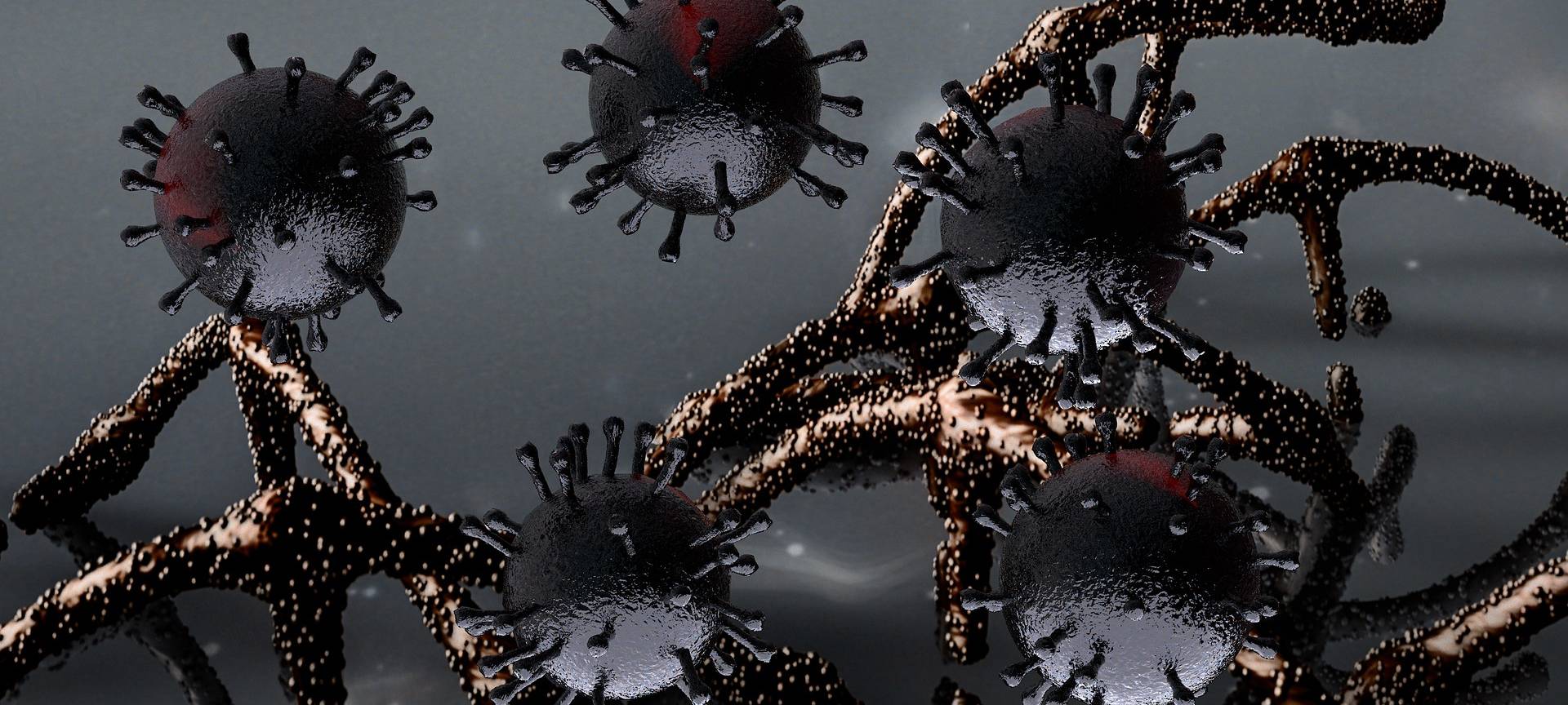 Quarantäne-Aufruf für Apollo-Gäste