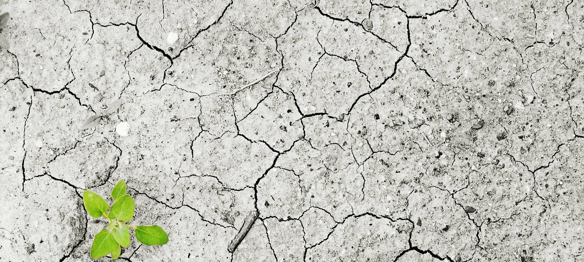 Klimawette in Aachen