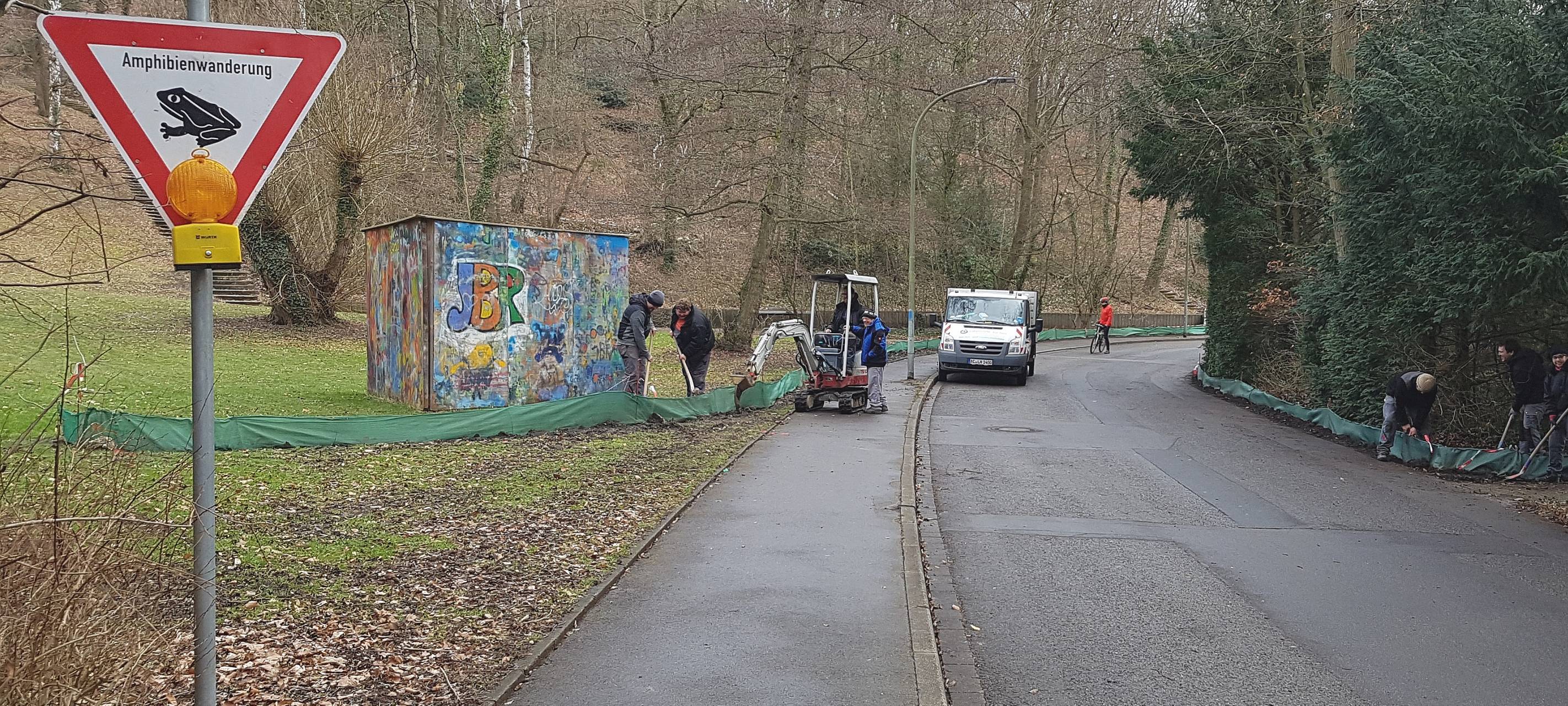 Krötenwanderung beginnt