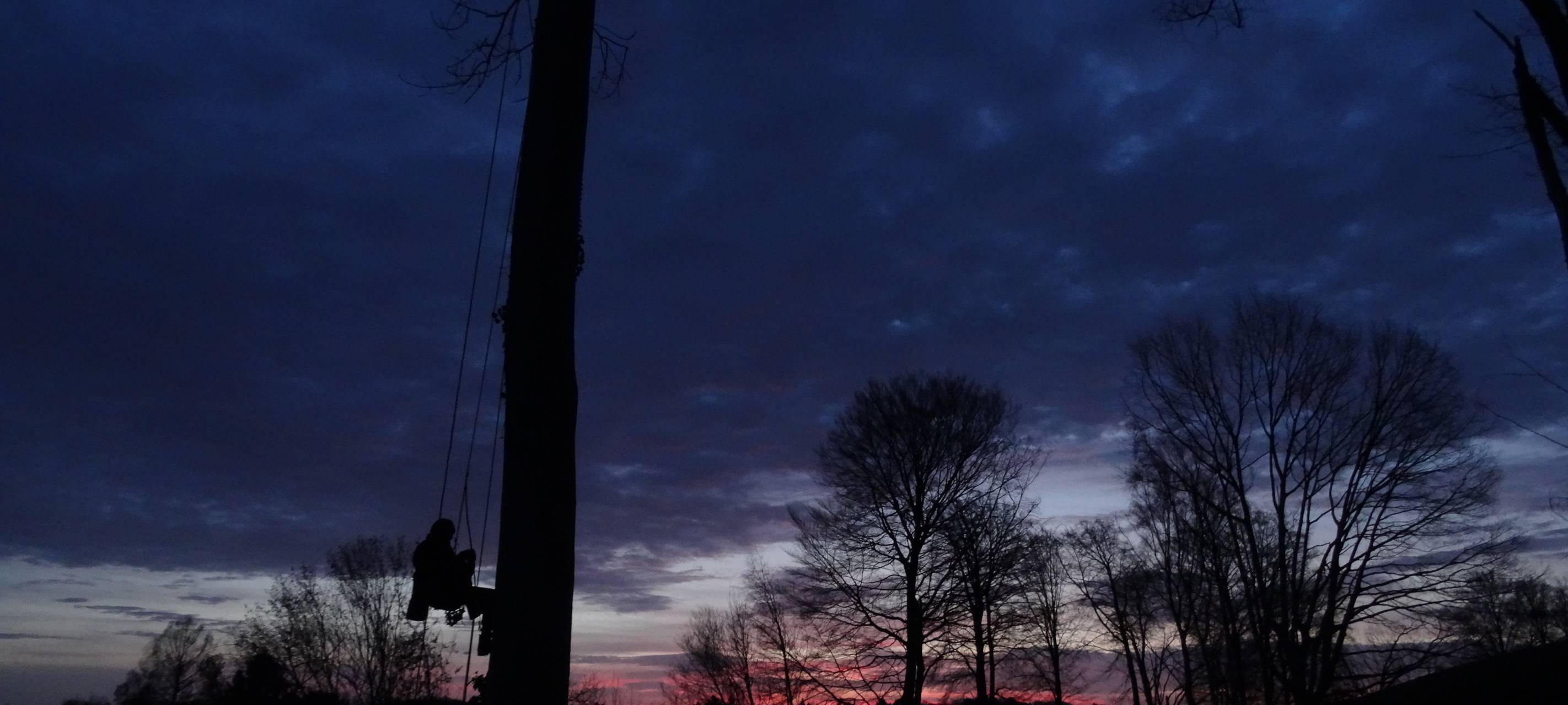 Fridays for Future Aachen