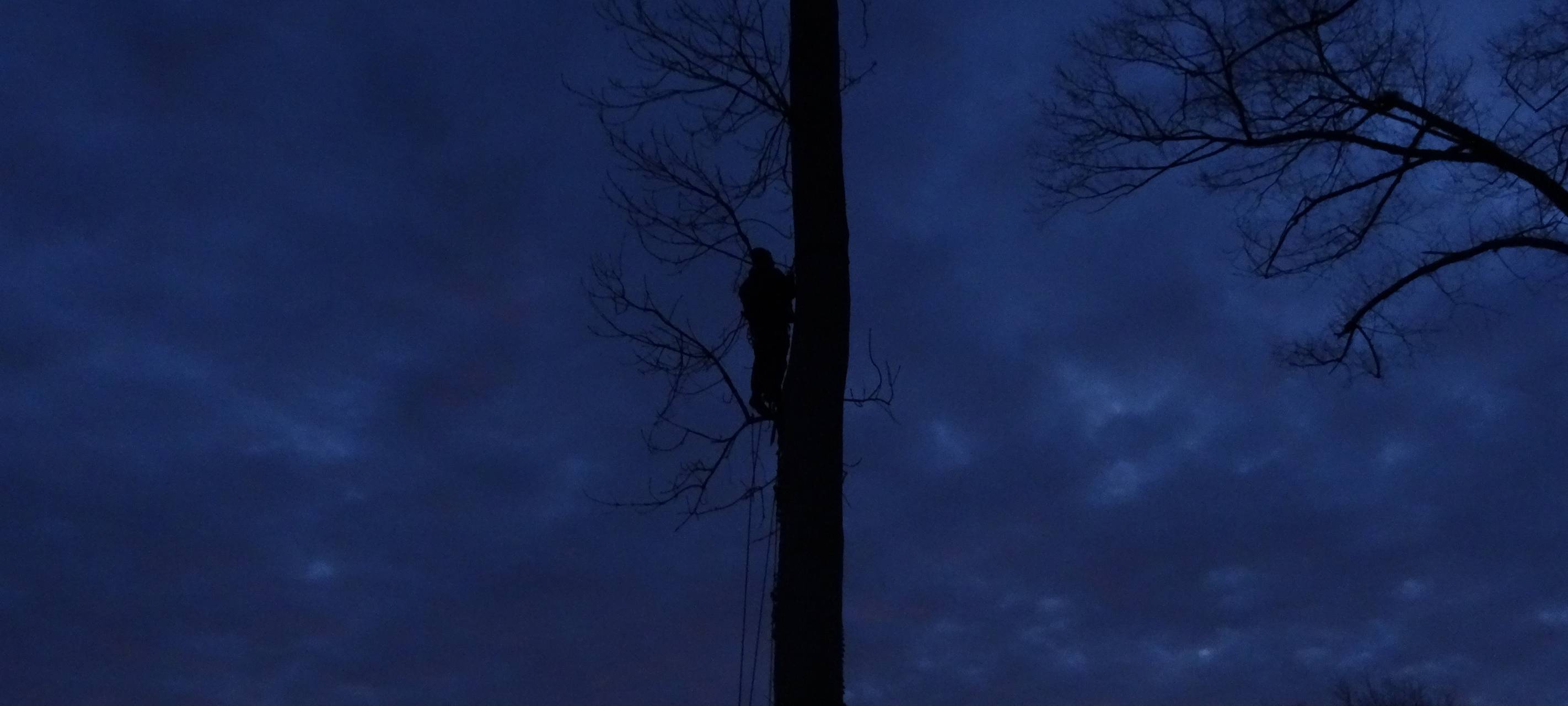 Fridays for Future Aachen