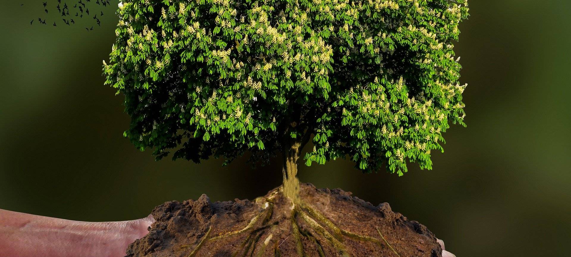 Aachens Bilanz zu CO2 und Klimaschutz