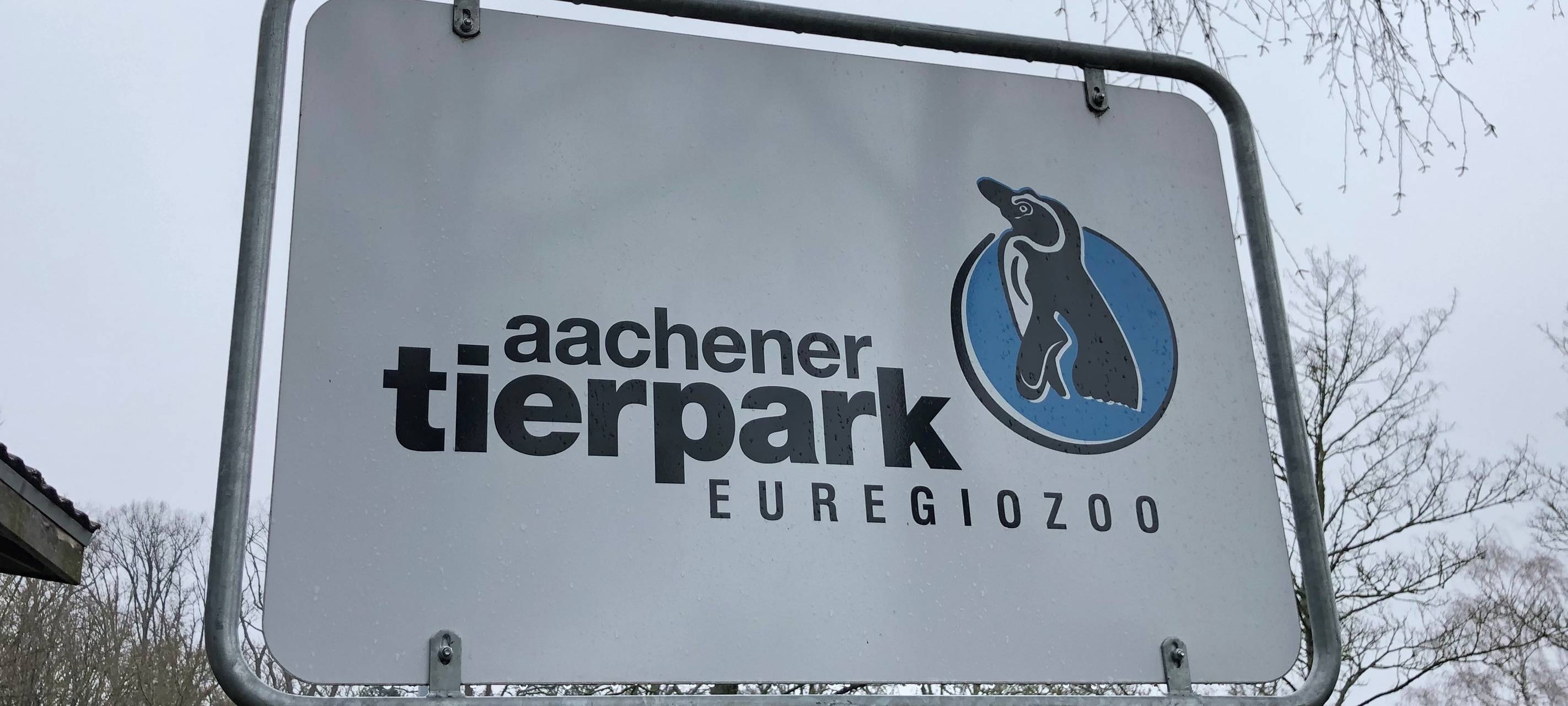 Aachen: Tierpark zieht Bilanz