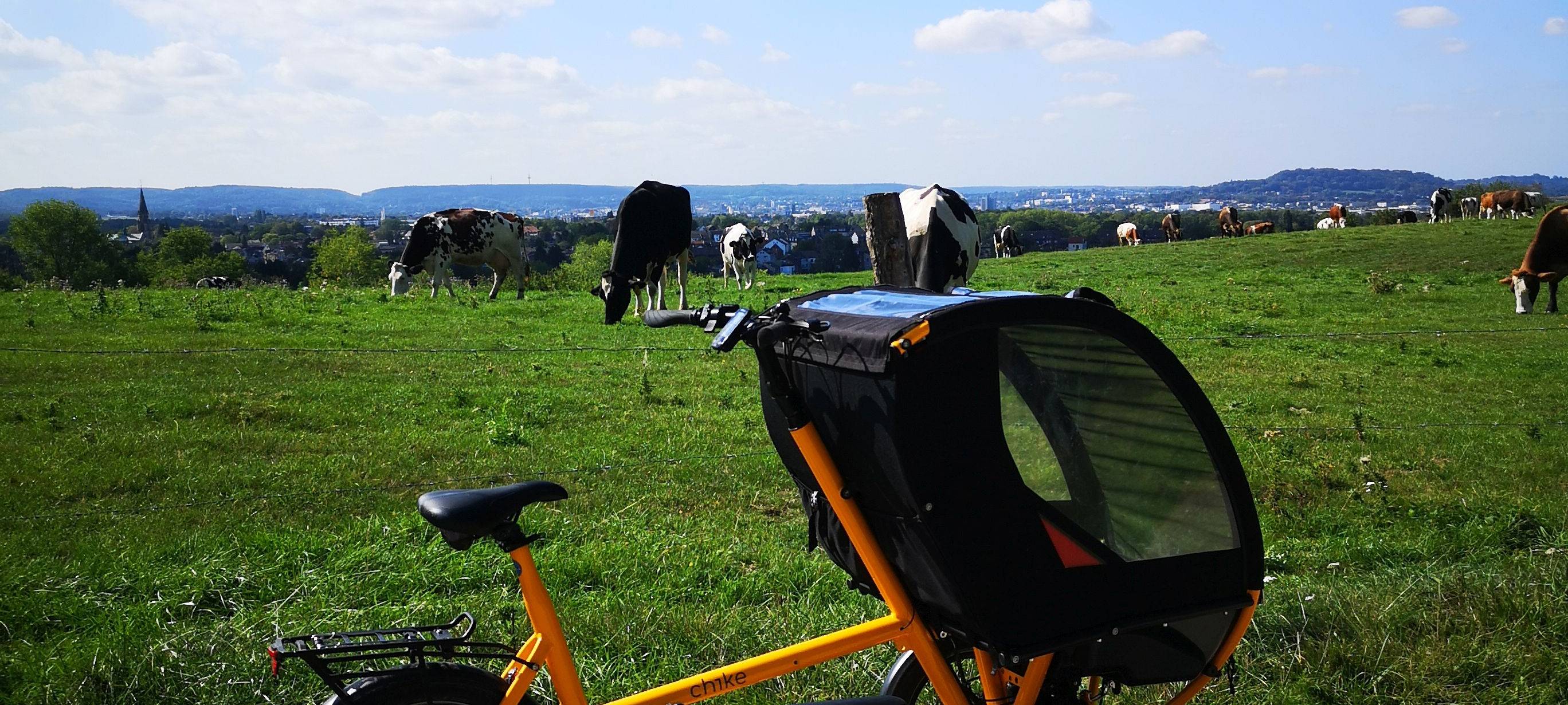 "Bienchen" ab jetzt in Eilendorf unterwegs