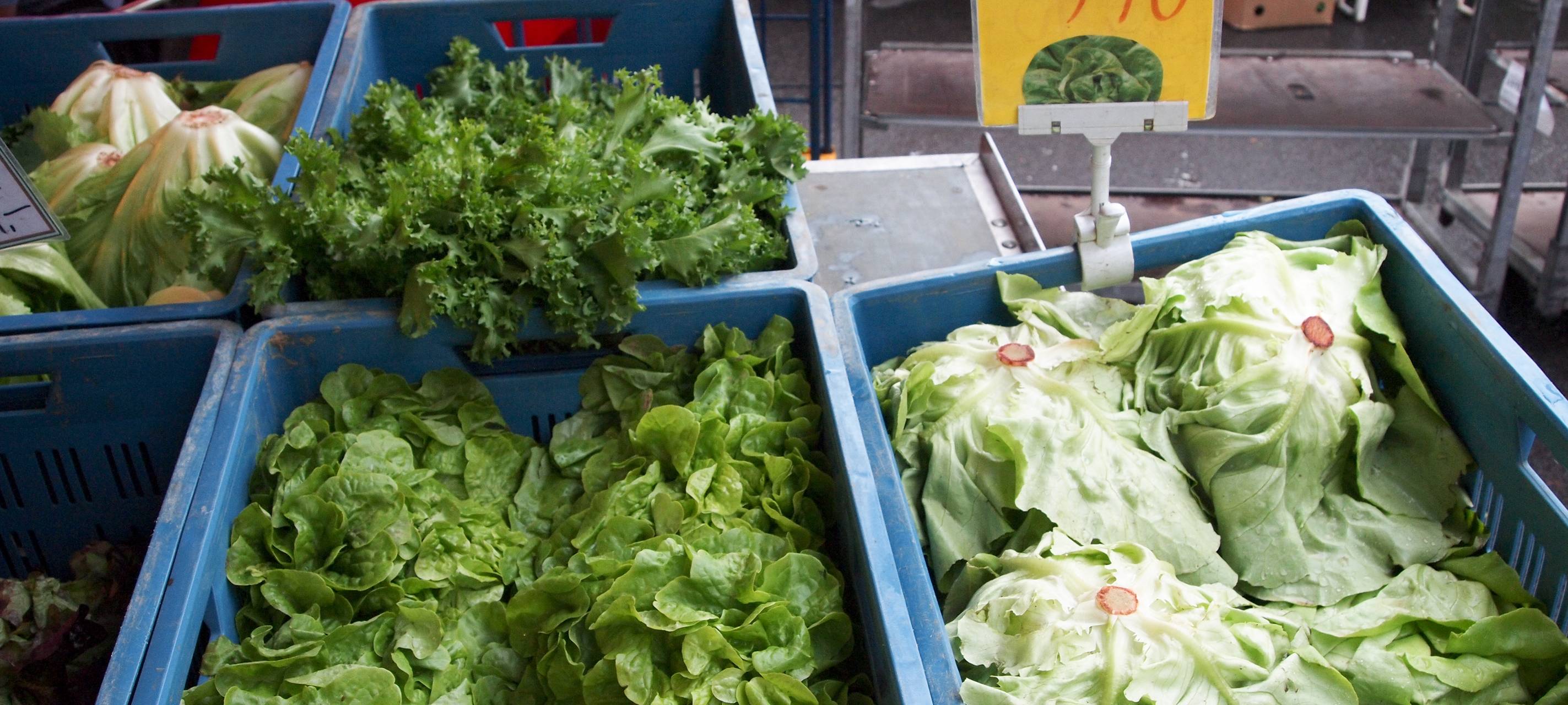 Neues Marktkonzept für Aachen