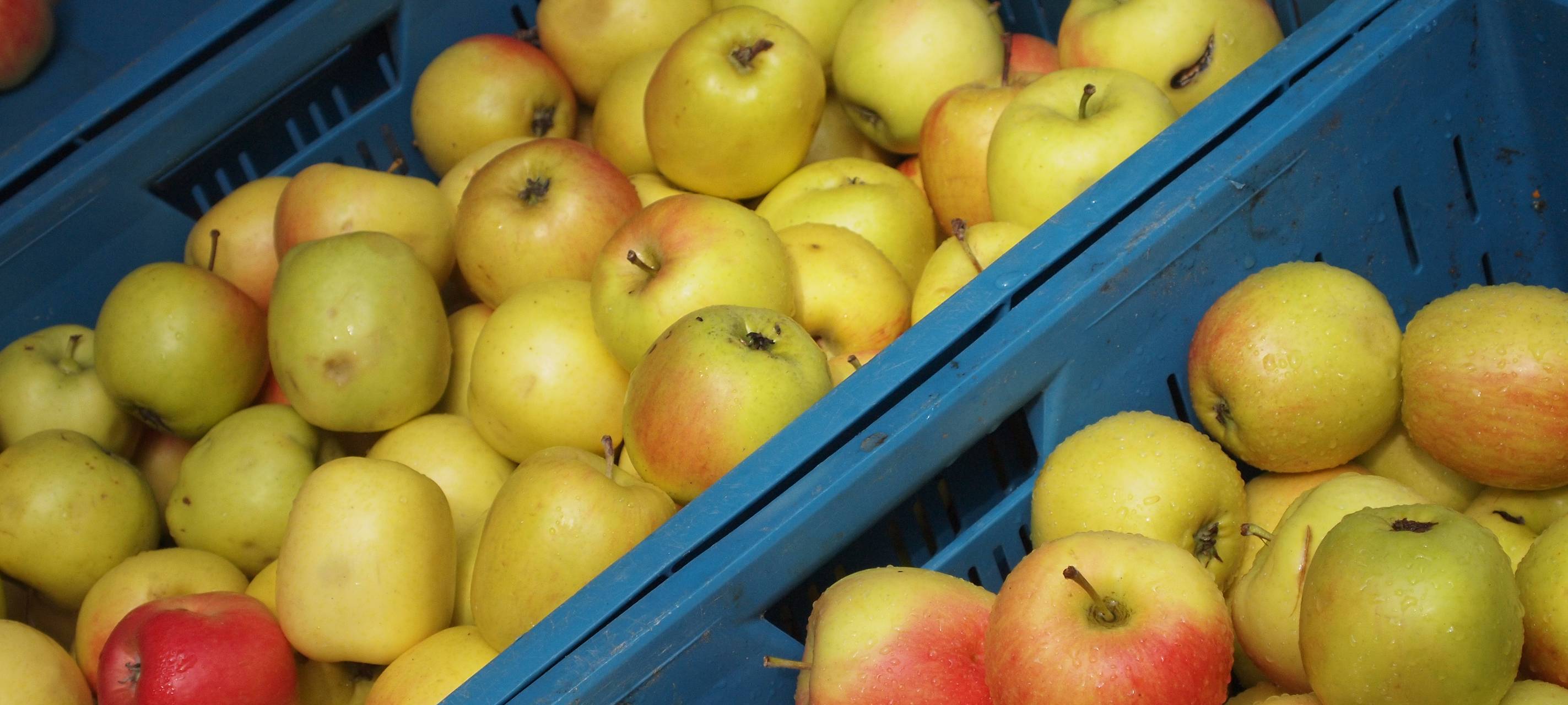 Stolberger Wochenmarkt kehrt auf Jordanplatz zurück