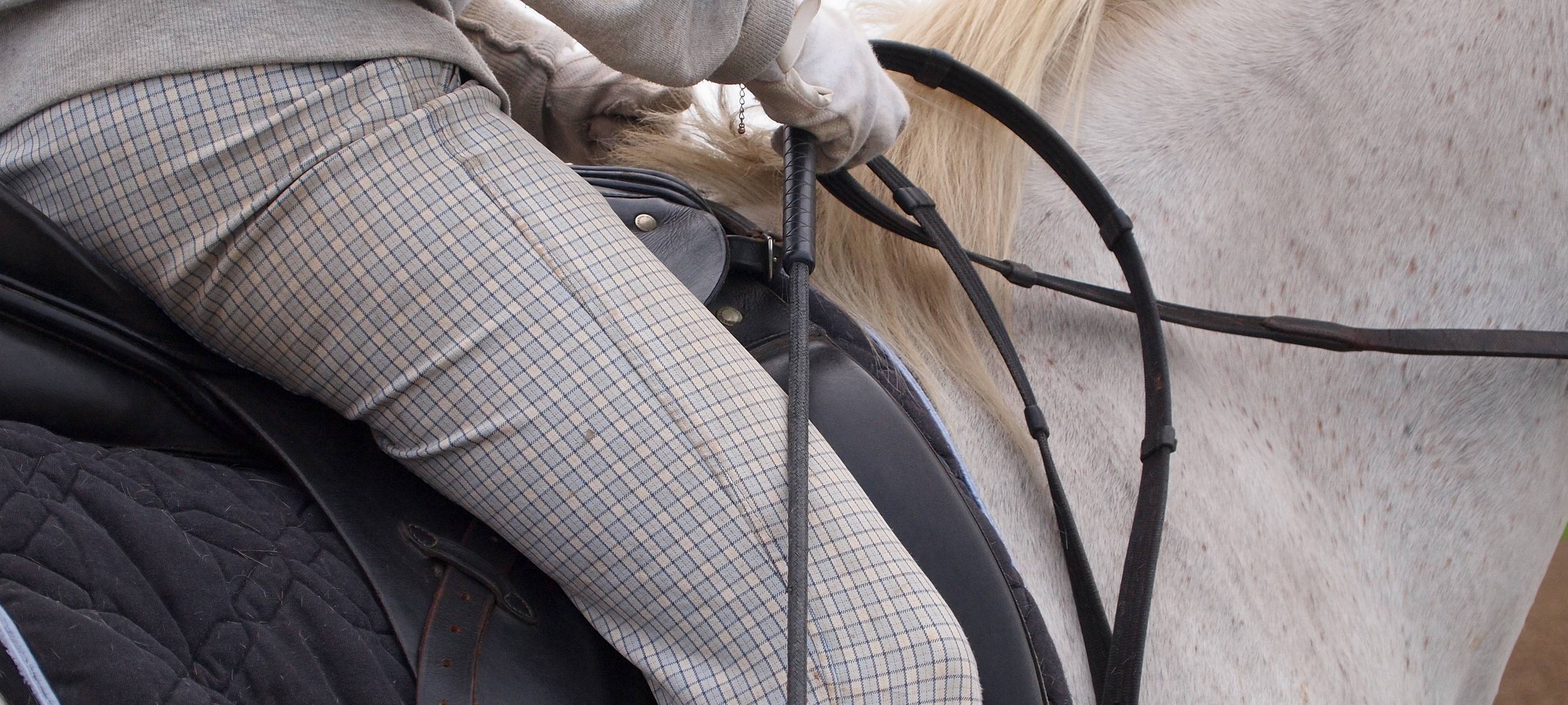 Pferde von verurteiltem Tierquäler im Kölner Rosenmontagszug