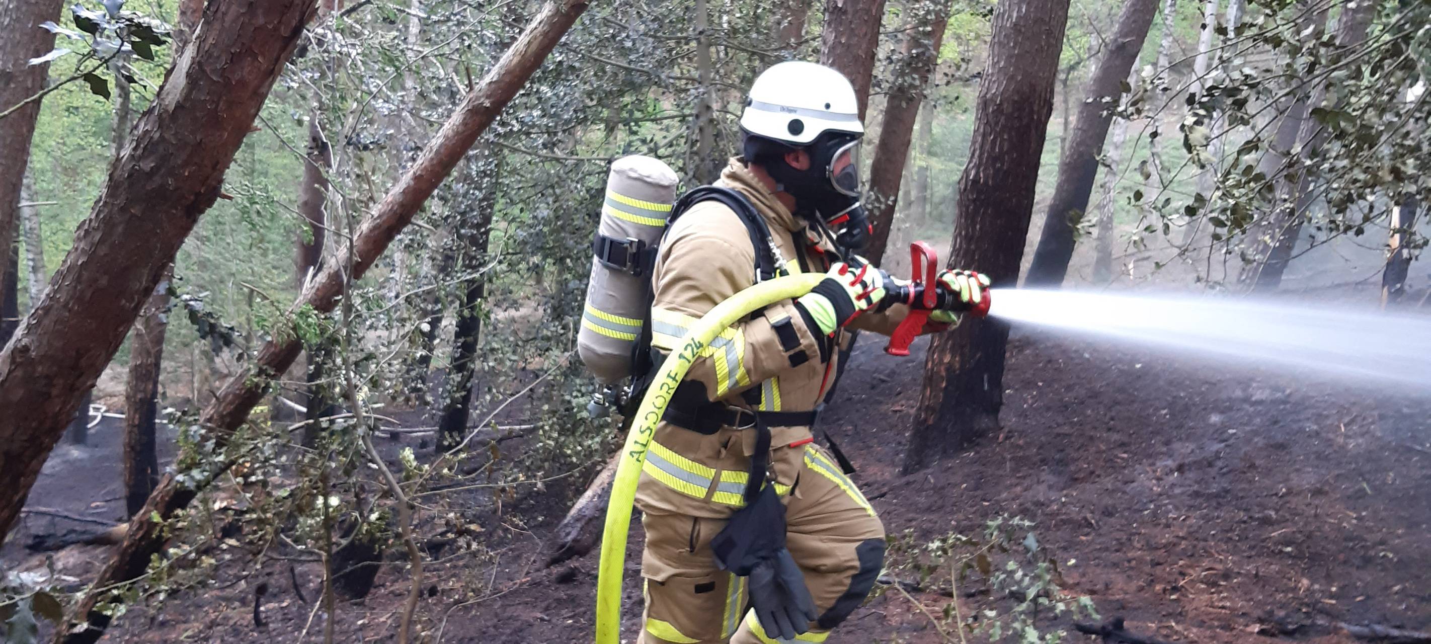 Waldbrand in Alsdorf-Kellersberg