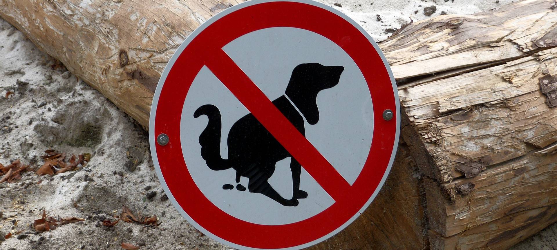 Hundekot im Feld kann zur Gefahr werden