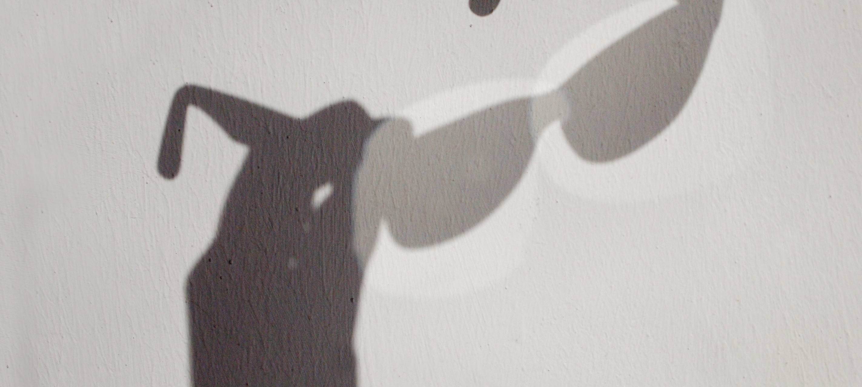 Jugendlicher mit 22 gestohlenen Markenbrillen erwischt