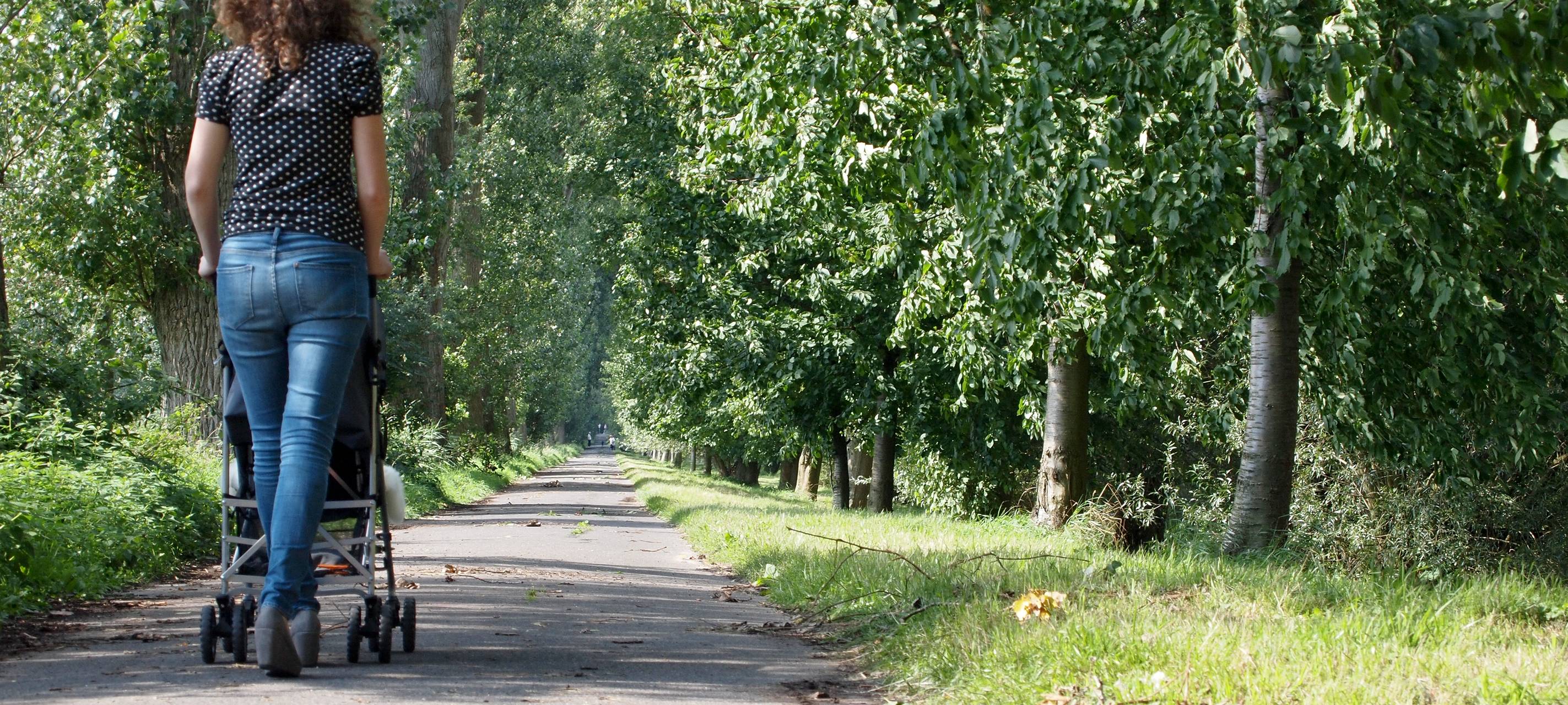 Neuer Familenwegweiser