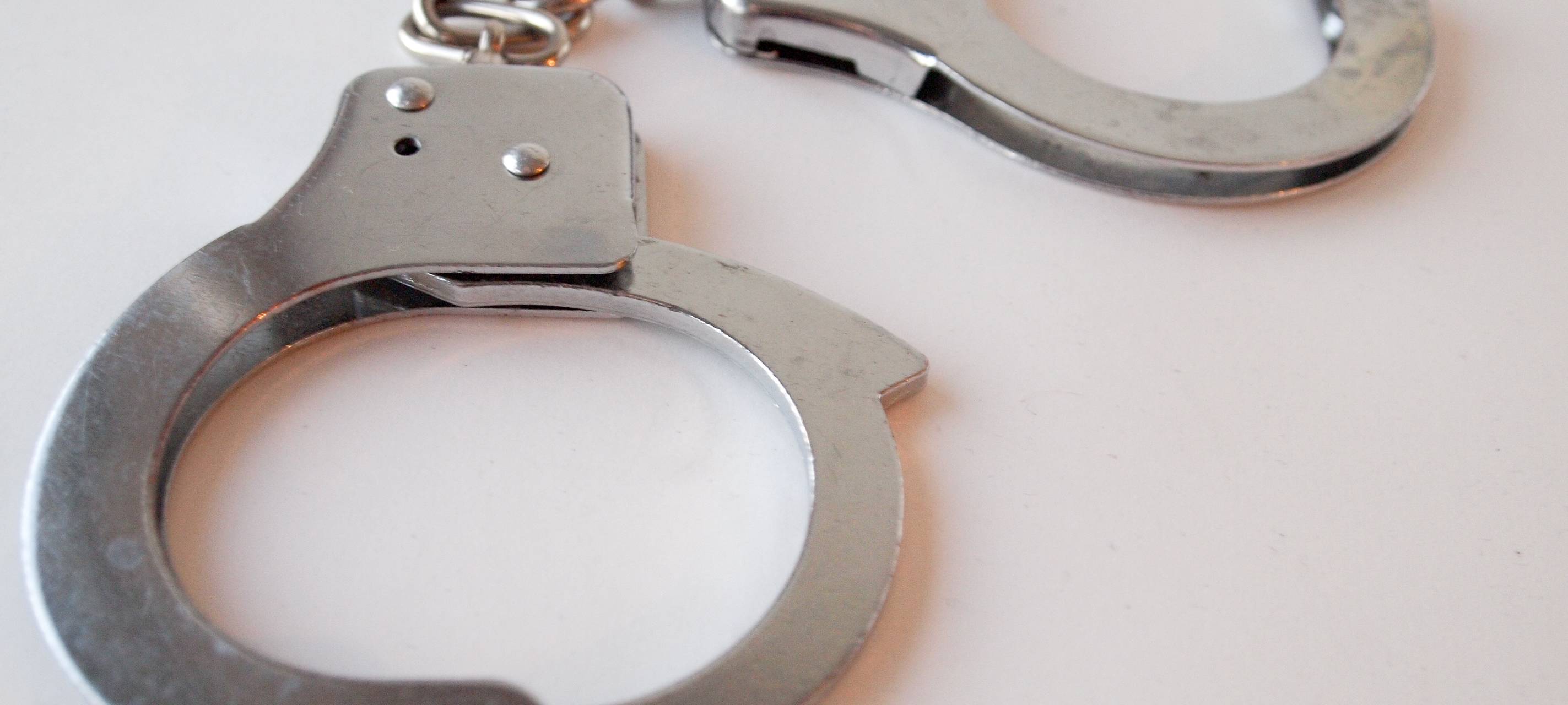 Wachmann stellt Diebin