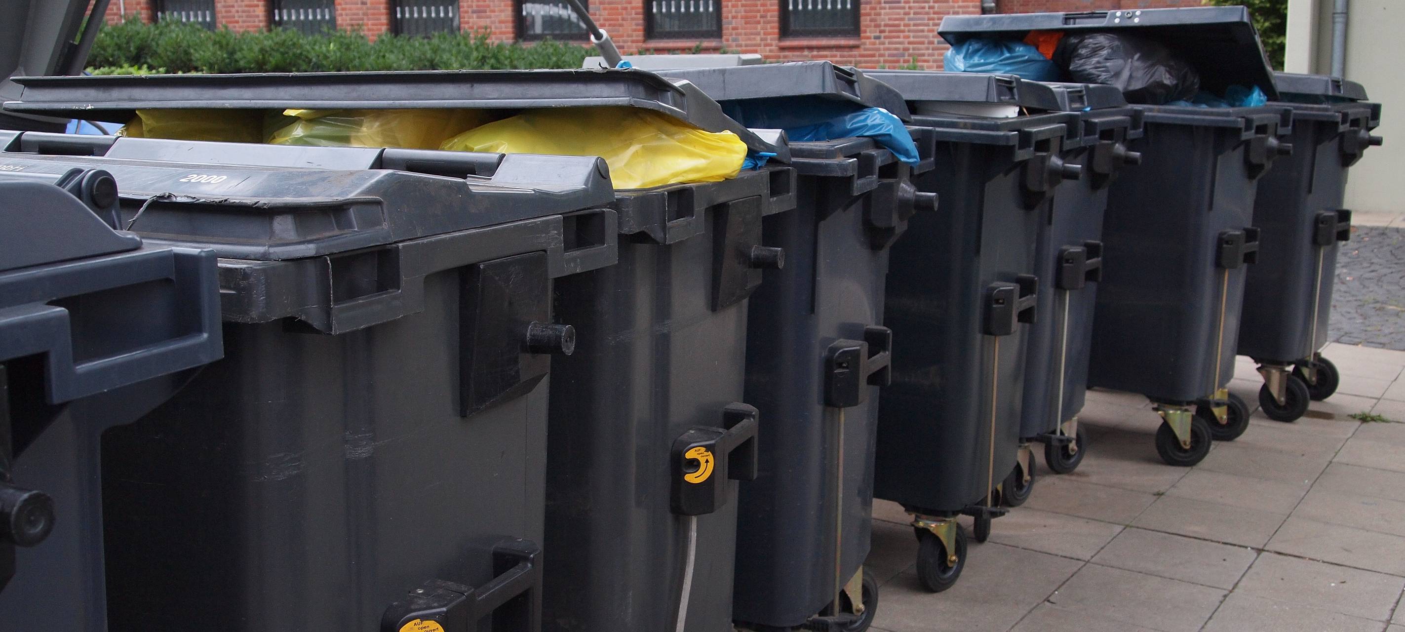 Aktion zur Abfallsammlung