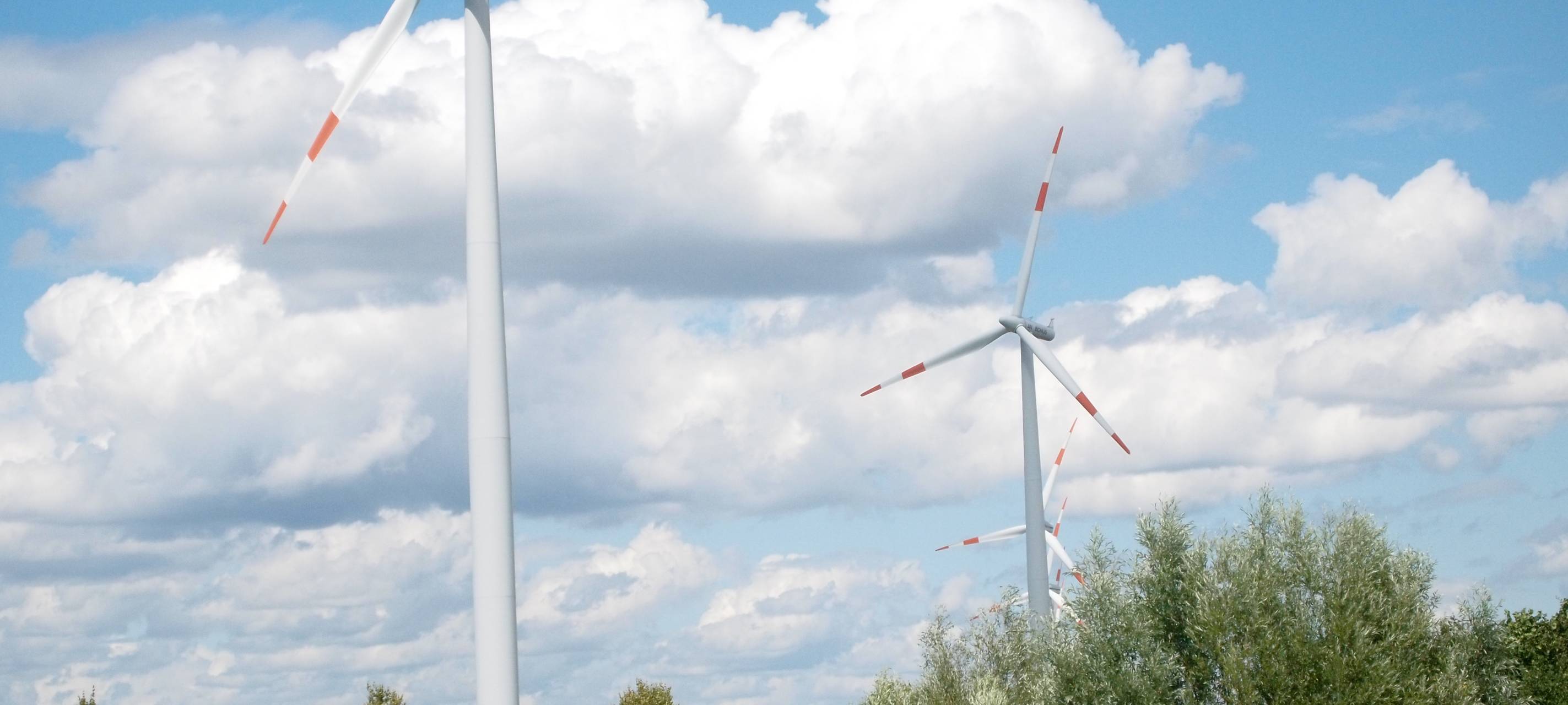 Infoabend zum geplanten Windpark „Drei-Kaiser-Eichen“