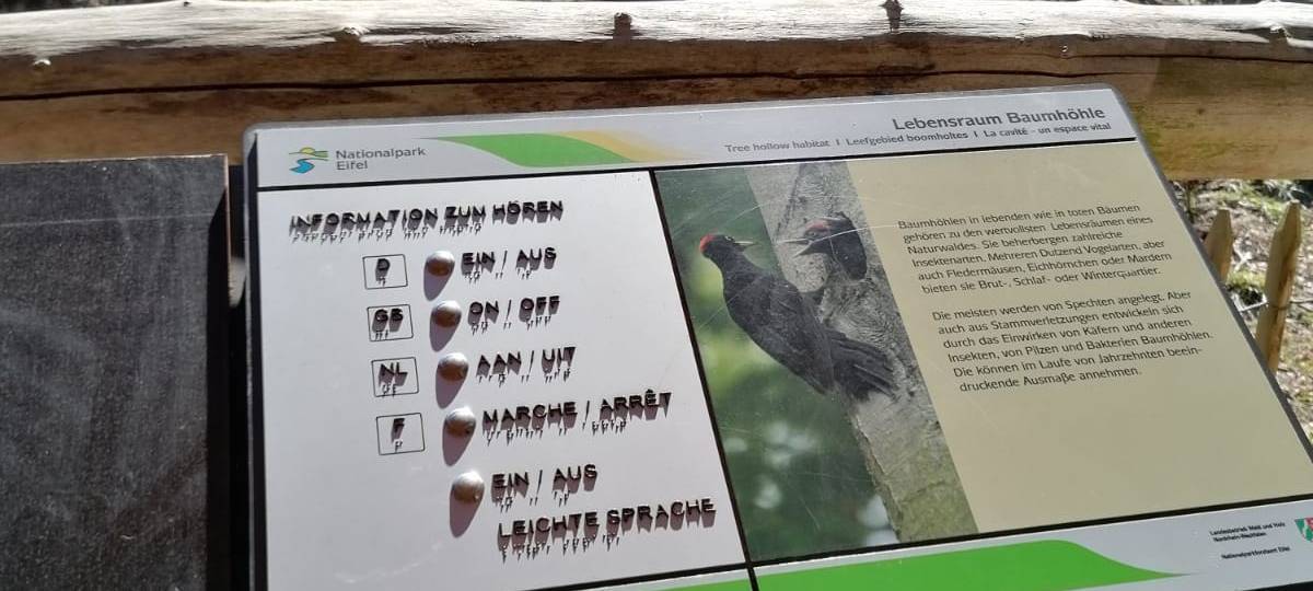 Immer mehr Besucher im Nationalpark Eifel