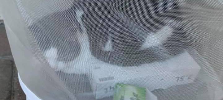 Frau schwer verletzt bei Kellerbrand in Stolberg