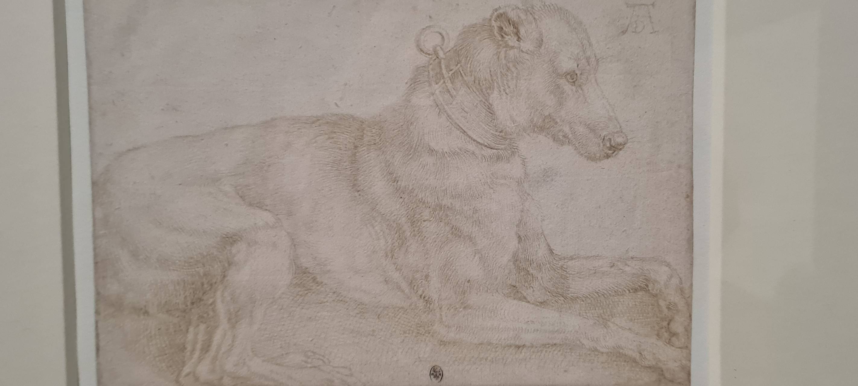 "Dürer war hier"-Ausstellung