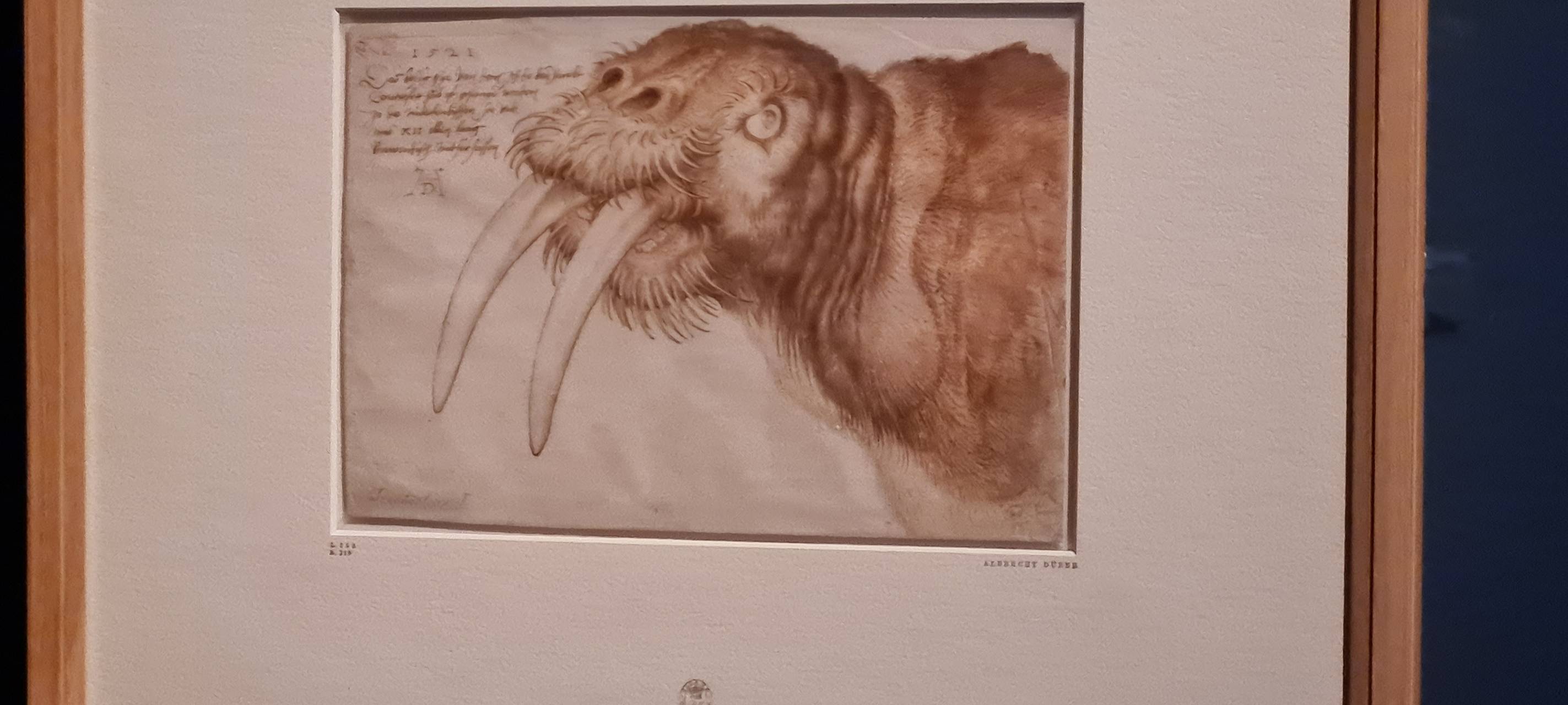 "Dürer war hier"-Ausstellung