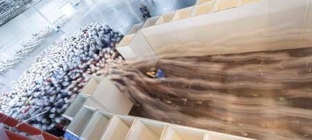 Teilnehmer für Fußgänger-Experimente gesucht