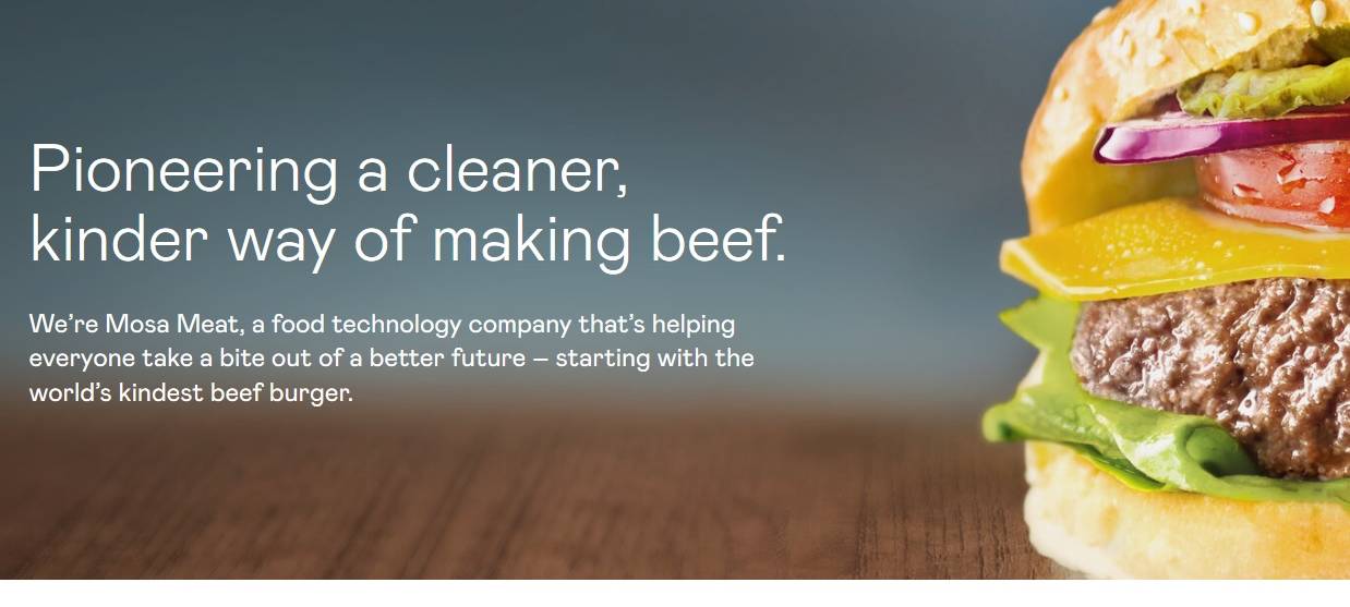 DiCaprio investiert in Maastricht