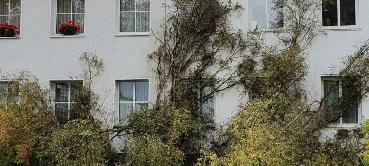 Nur kleinere Sturmschäden bei uns