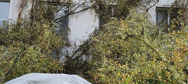 Nur kleinere Sturmschäden bei uns