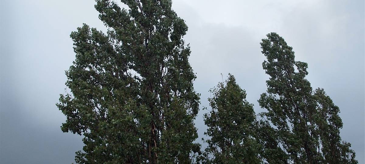 Sturm "Ignatz" ist da