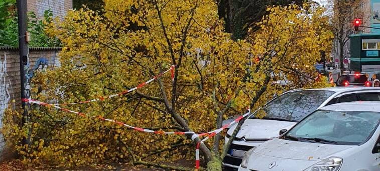 Nur kleinere Sturmschäden bei uns