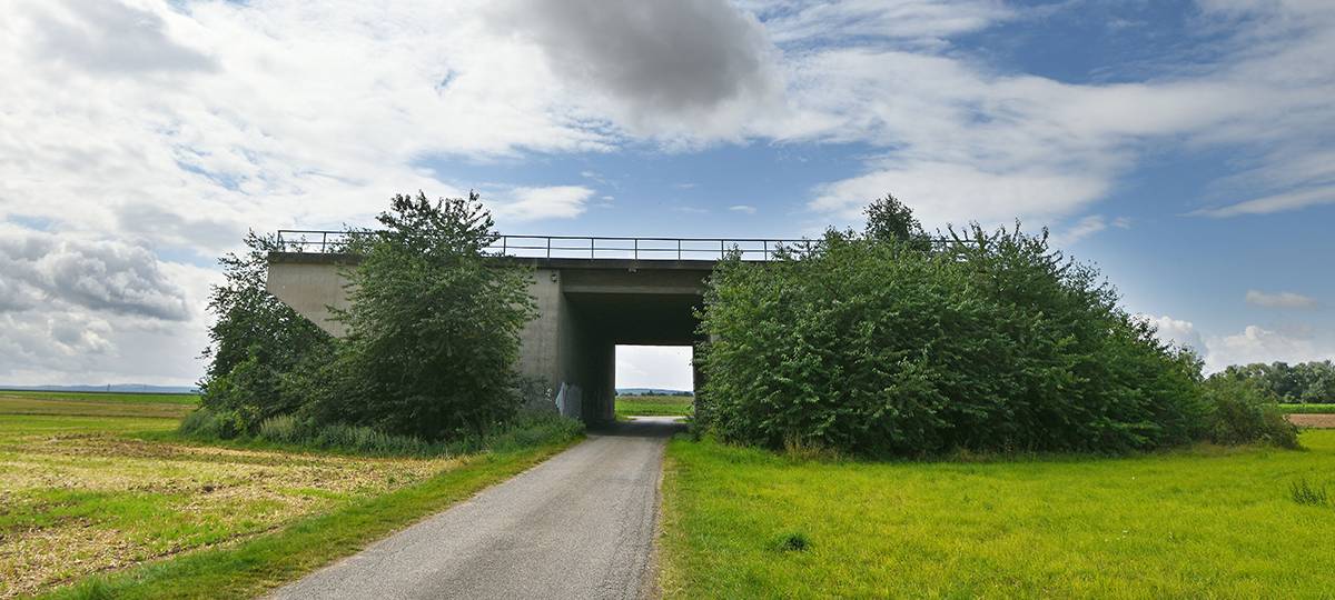 Bund der Steuerzahler: Hier wurden 2022 in NRW Steuergelder verschwendet