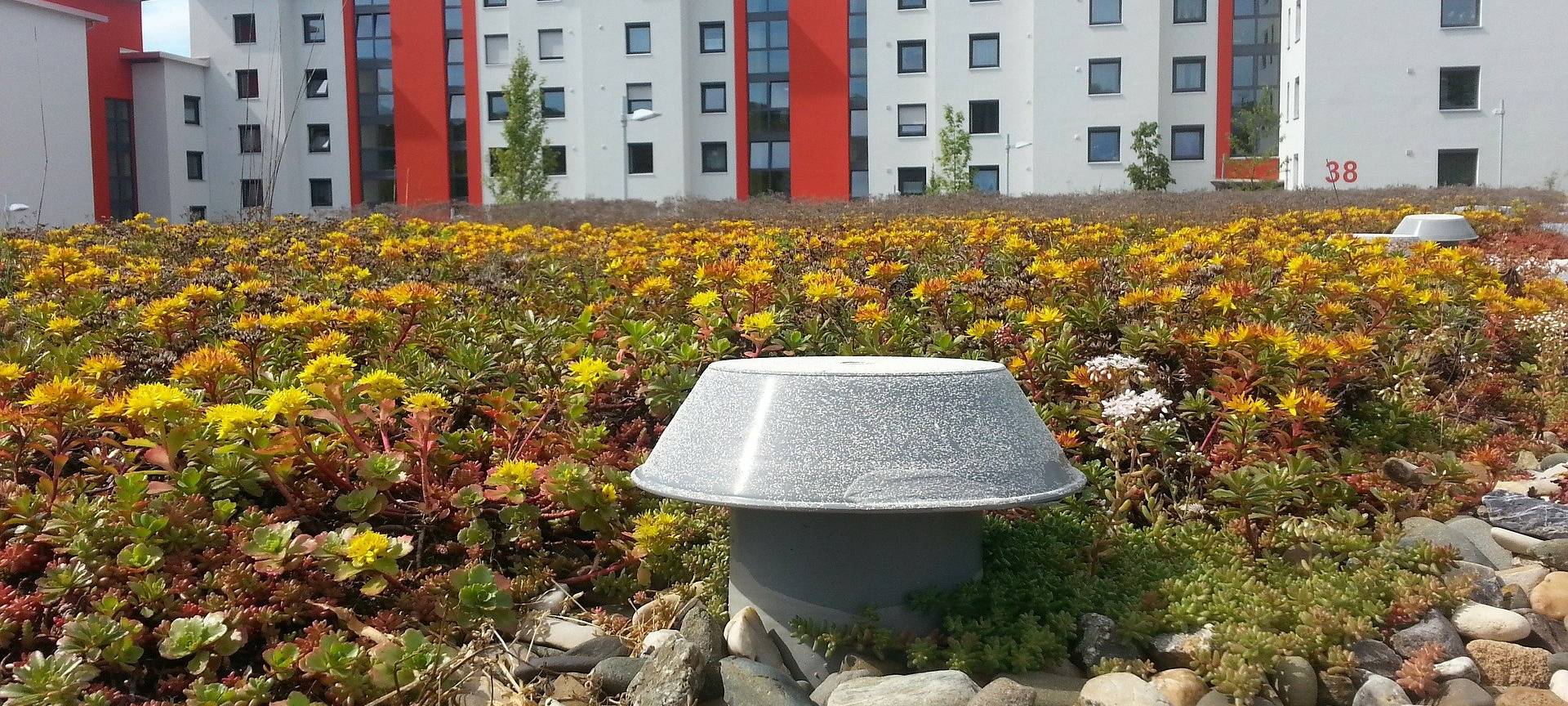 Stolberg fördert sinnvollen Umgang mit Regenwasser