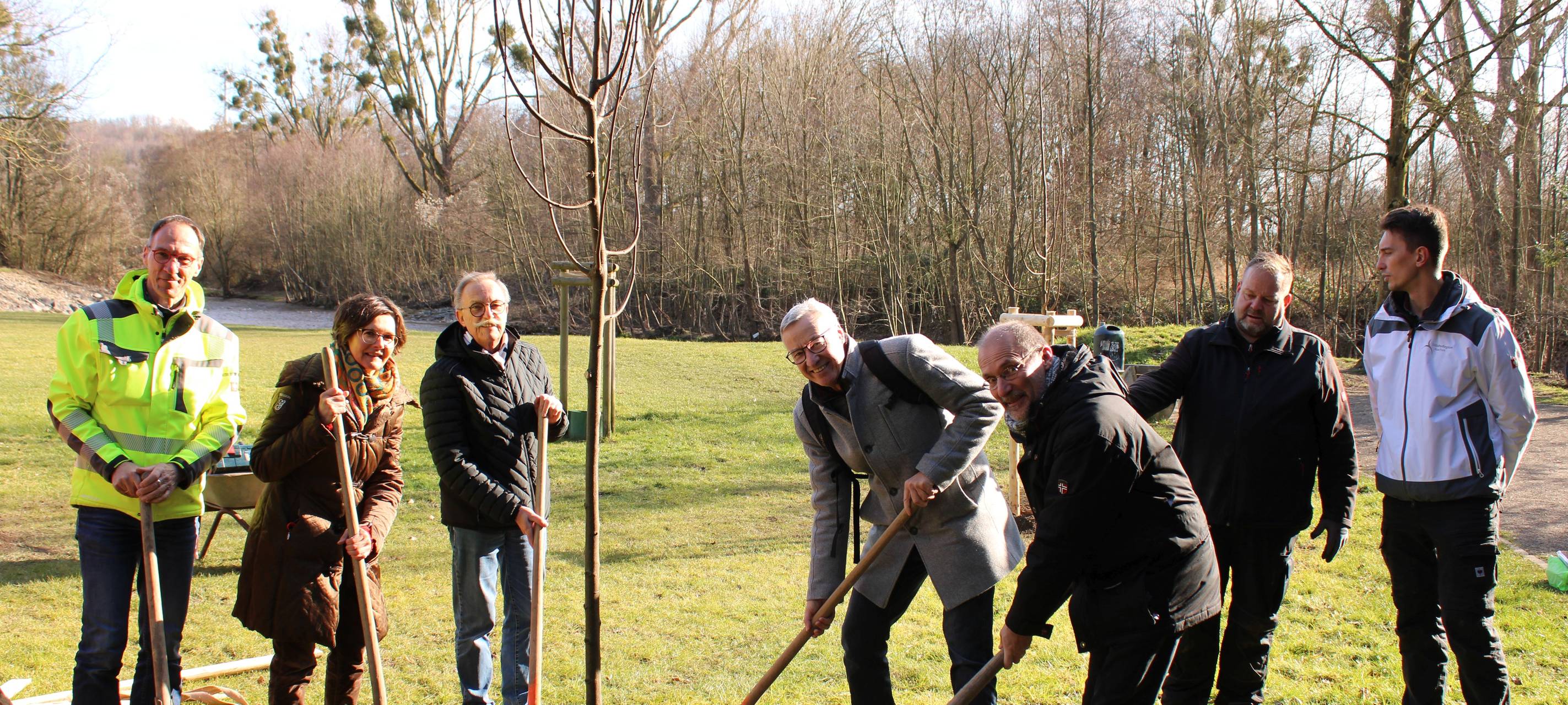 Neue Bäume fürs Indeufer in Weisweiler