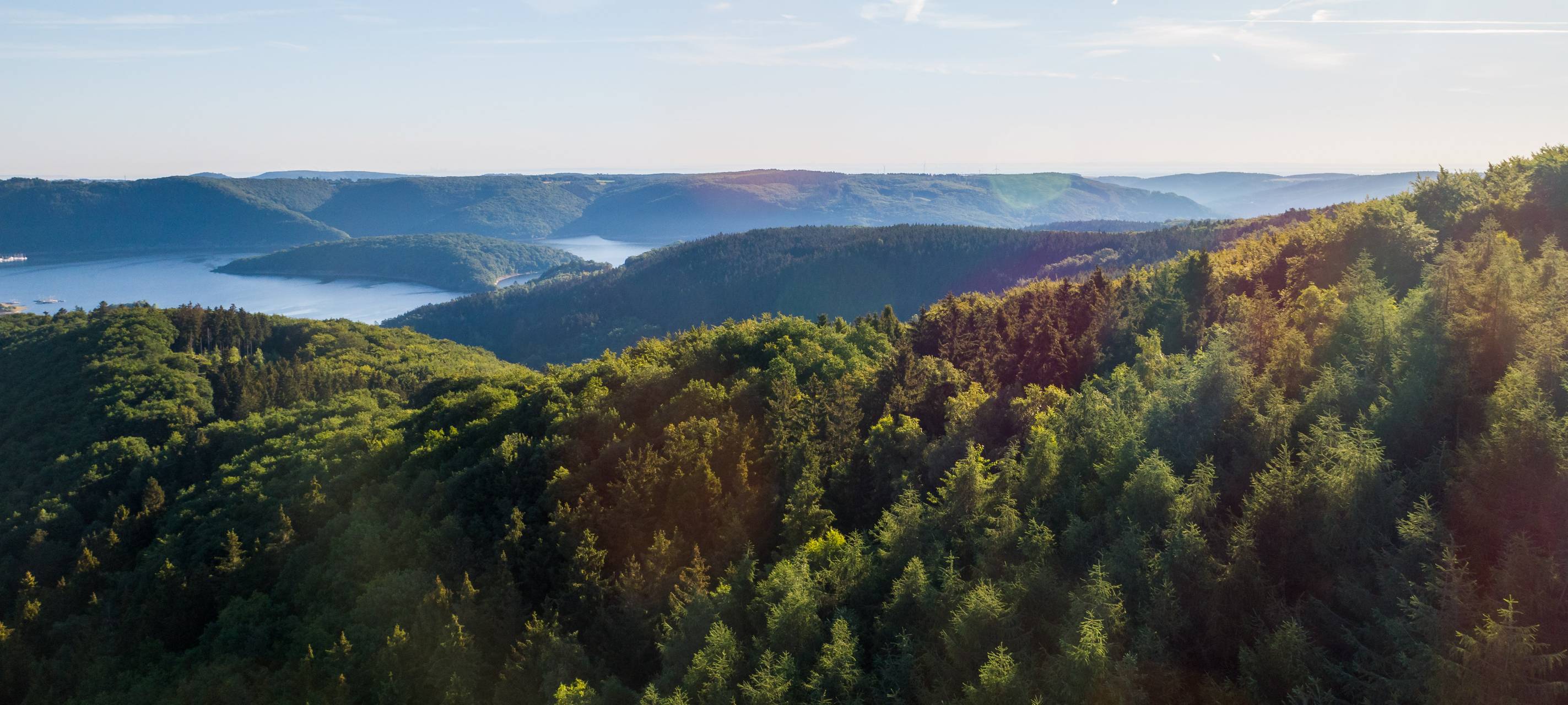 20 Jahre Nationalpark Eifel