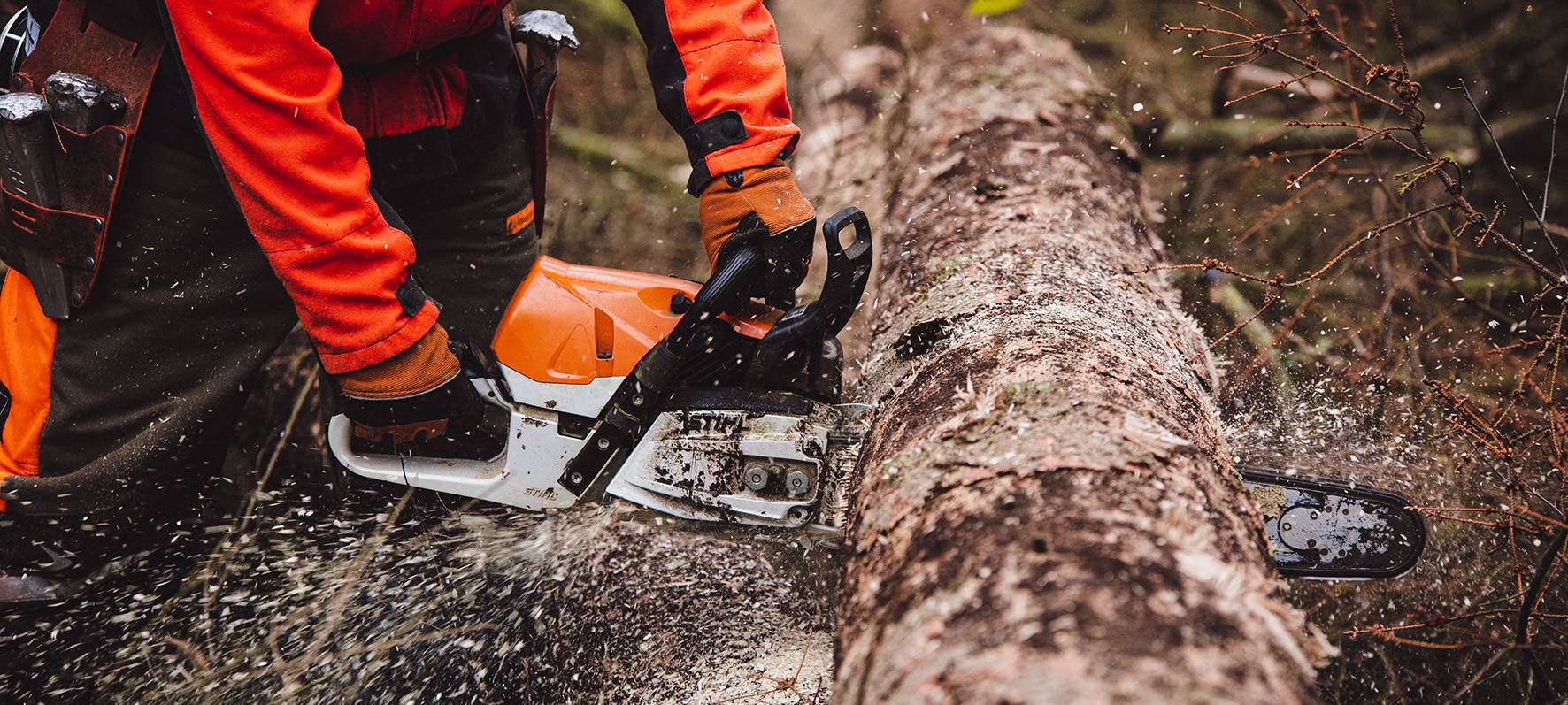 Mit der Kettensäge im Wald erwischt