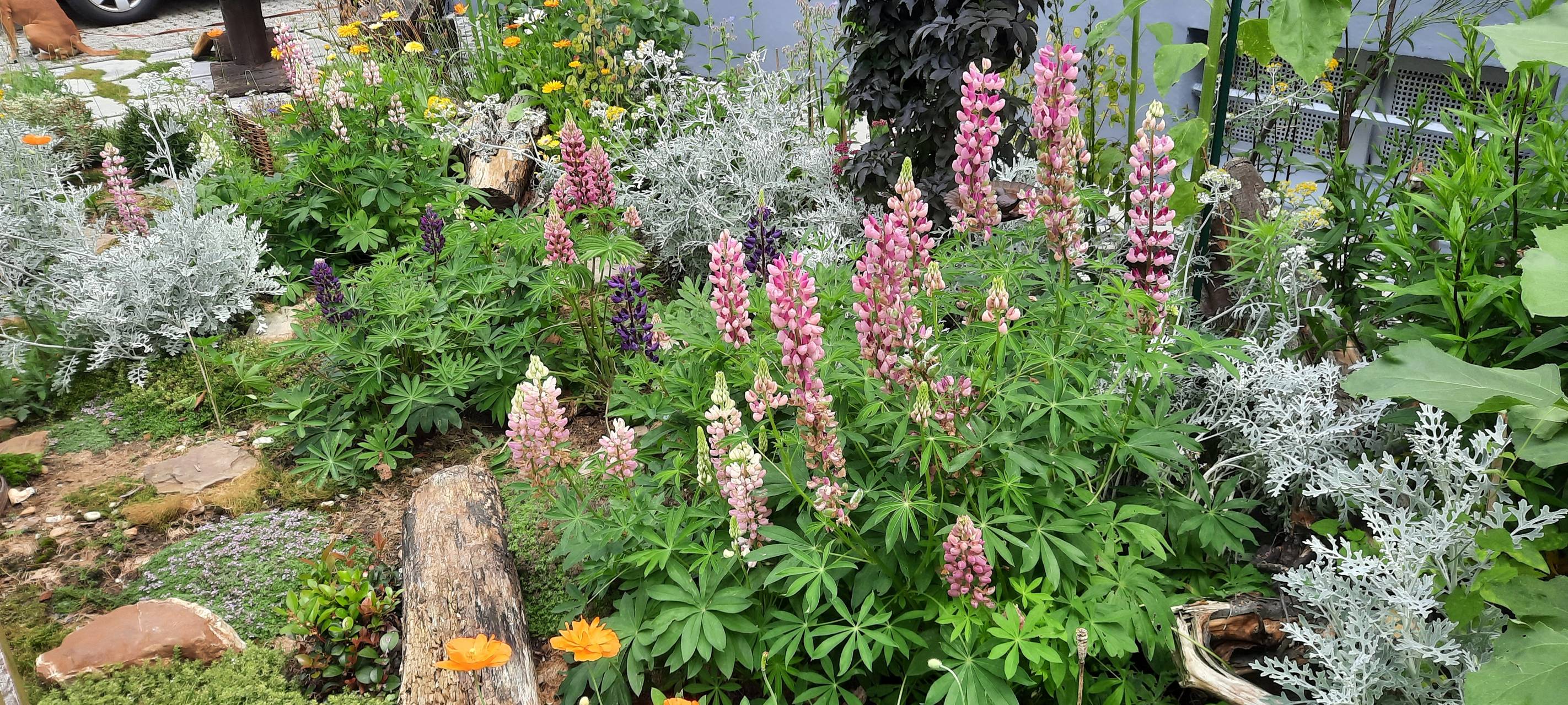 Die schönsten Vorgärten im Nordkreis