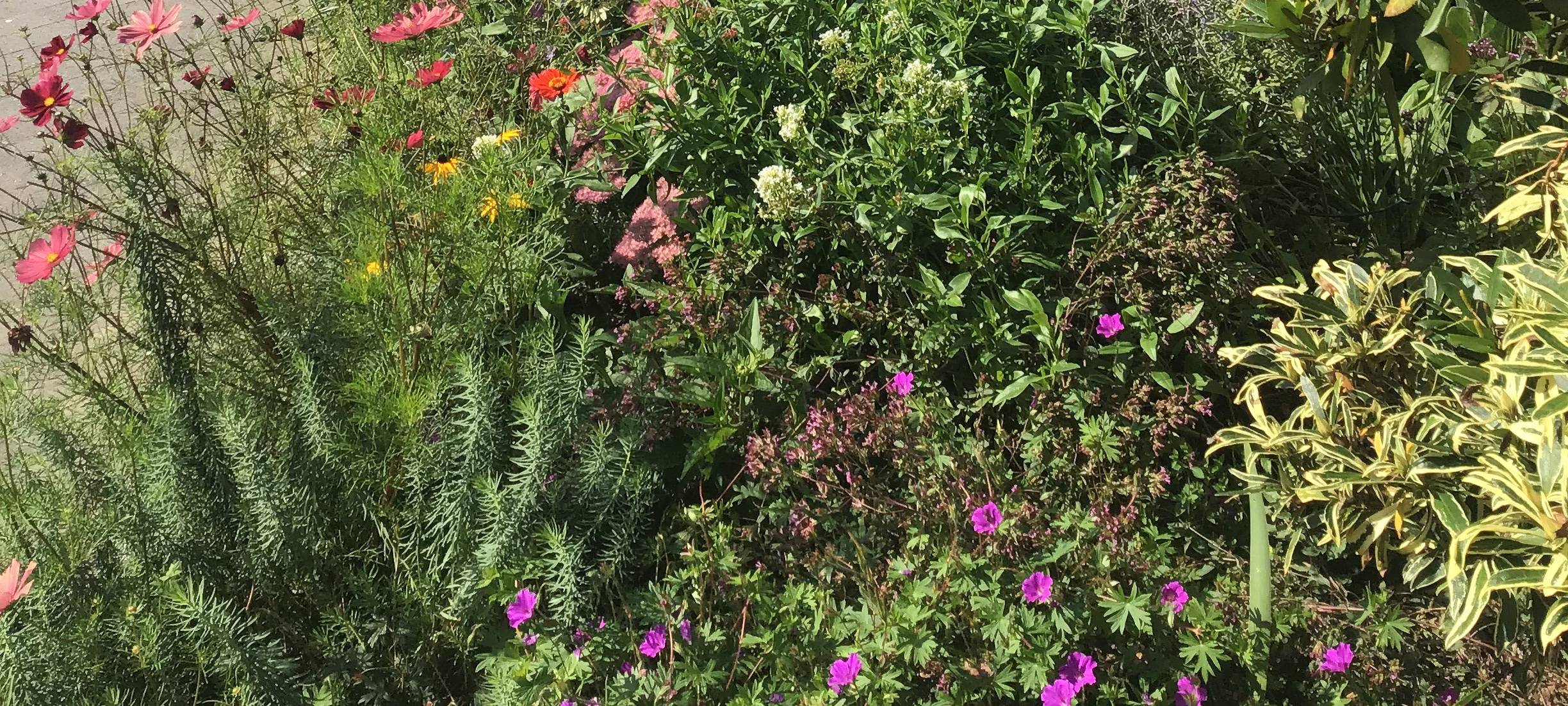 Die schönsten Vorgärten im Nordkreis