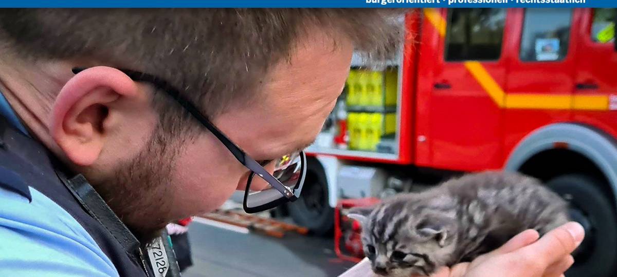 Katzen aus brennender Wohnung gerettet