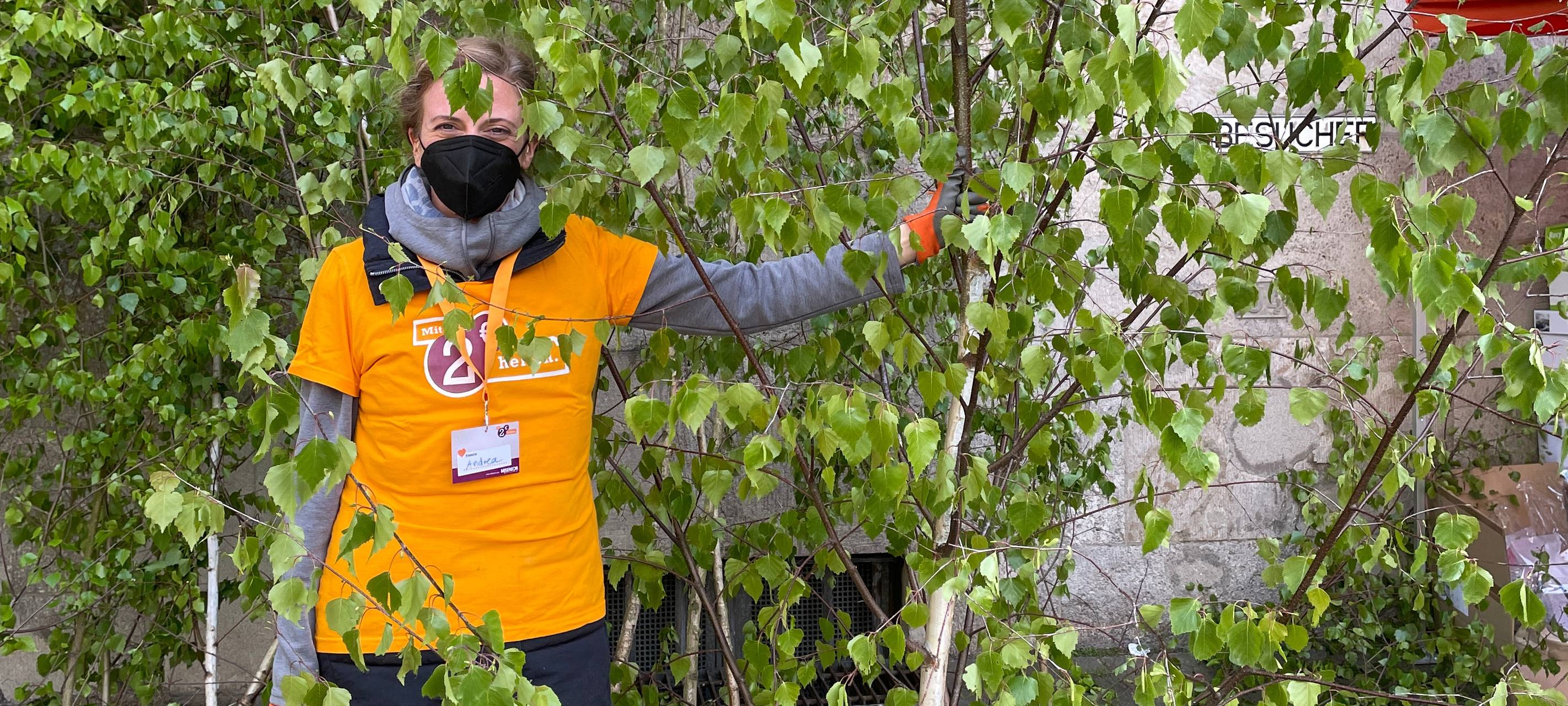 misereor-Maibaumaktion 2023 hilft Erdbebenopfern in Syrien