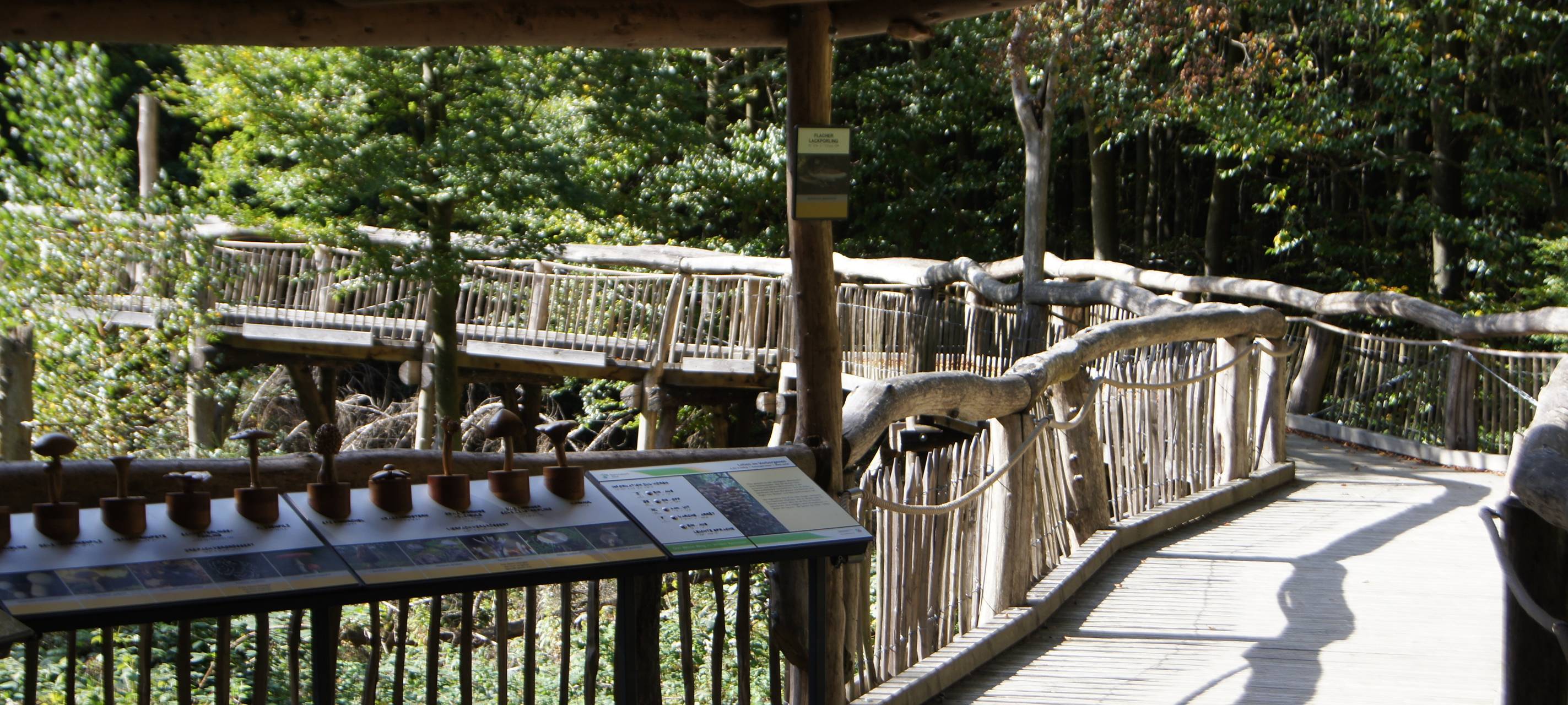 Über eine Million Besucher im Nationalpark Eifel