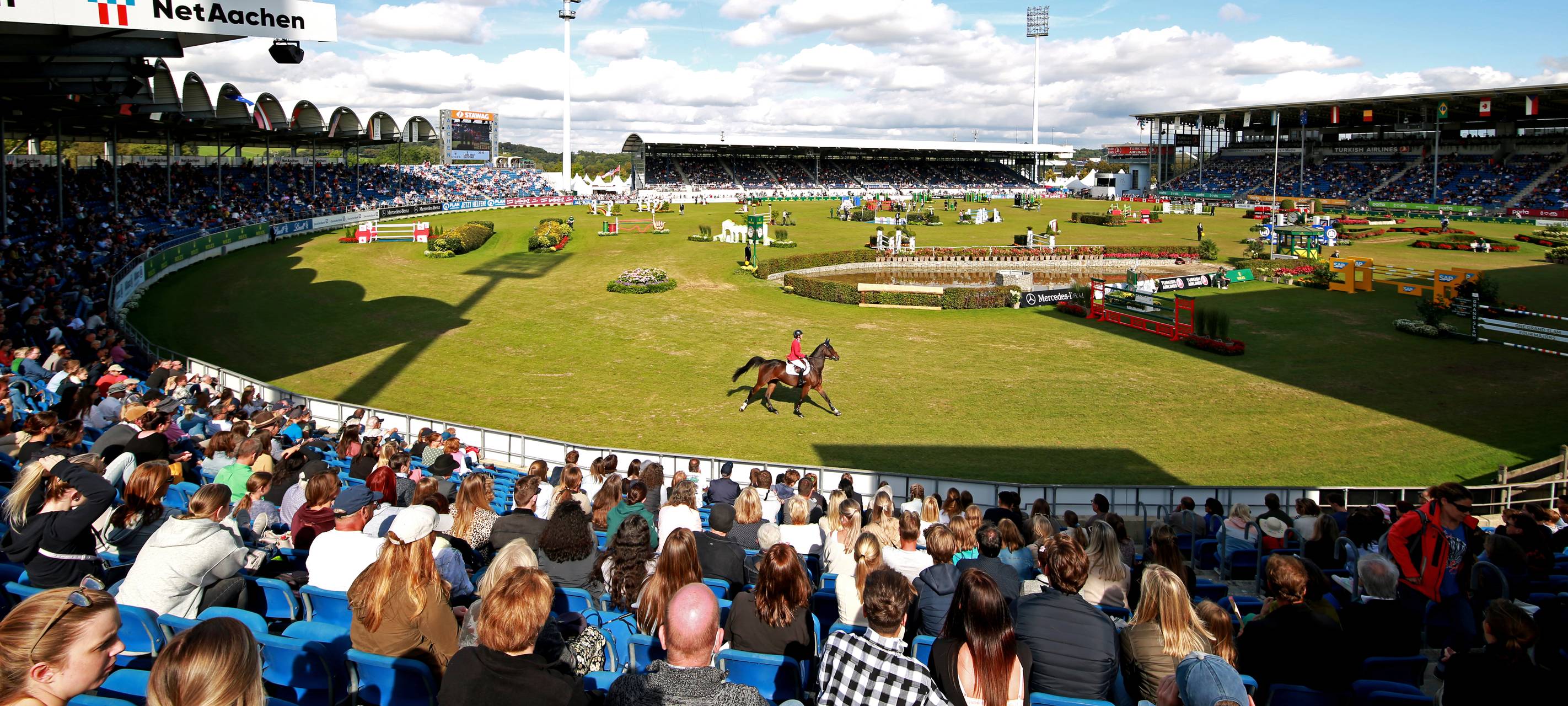 Pferd Allstar B nach Parcours-Unfall eingeschläfert