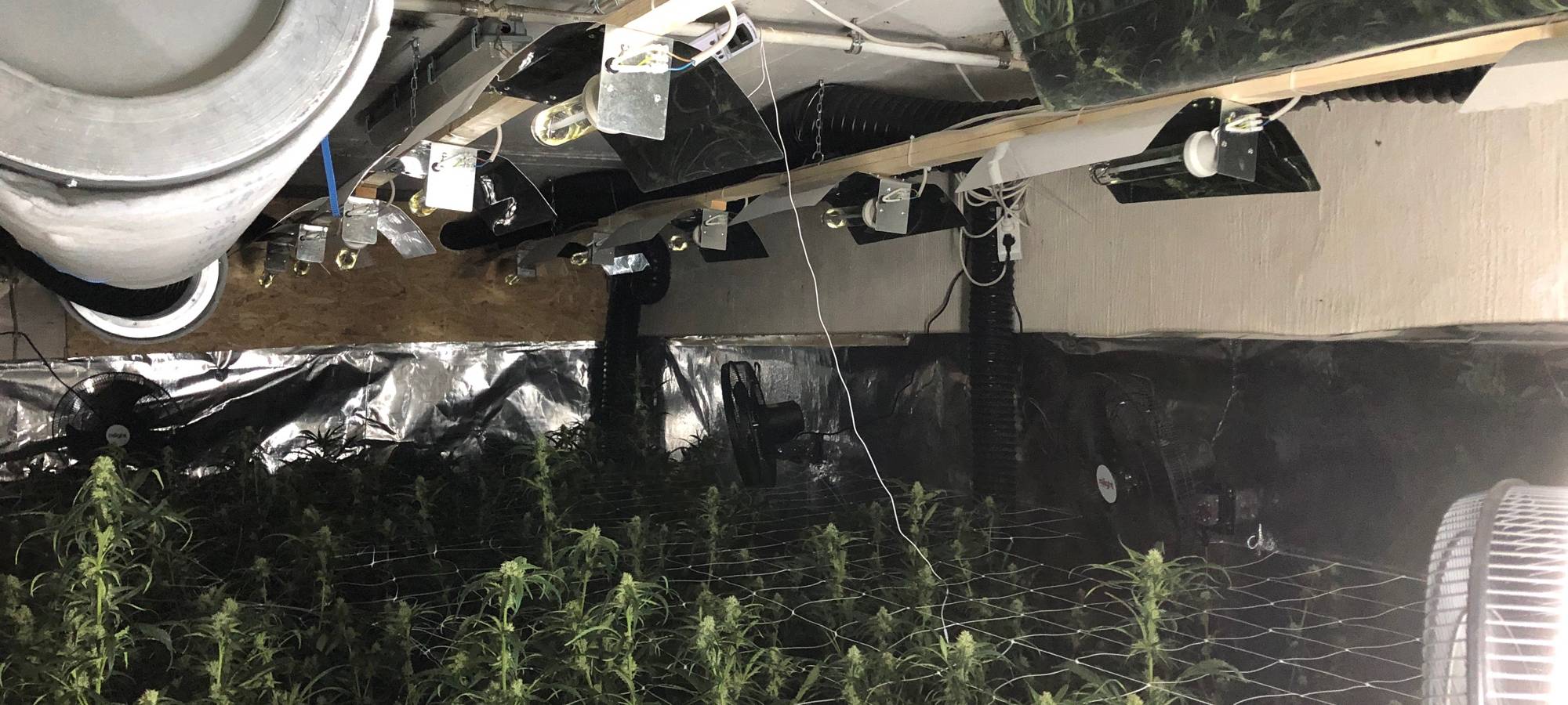 Aachener Polizisten finden Cannabis-Plantage in Linnich