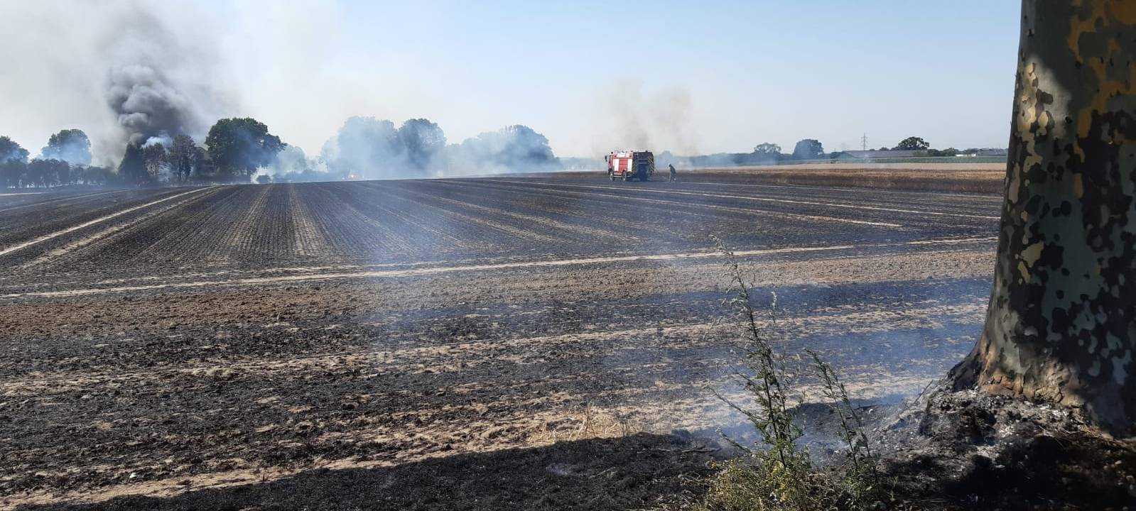 2,5 Hektar Feld brennen bei Alsdorf ab