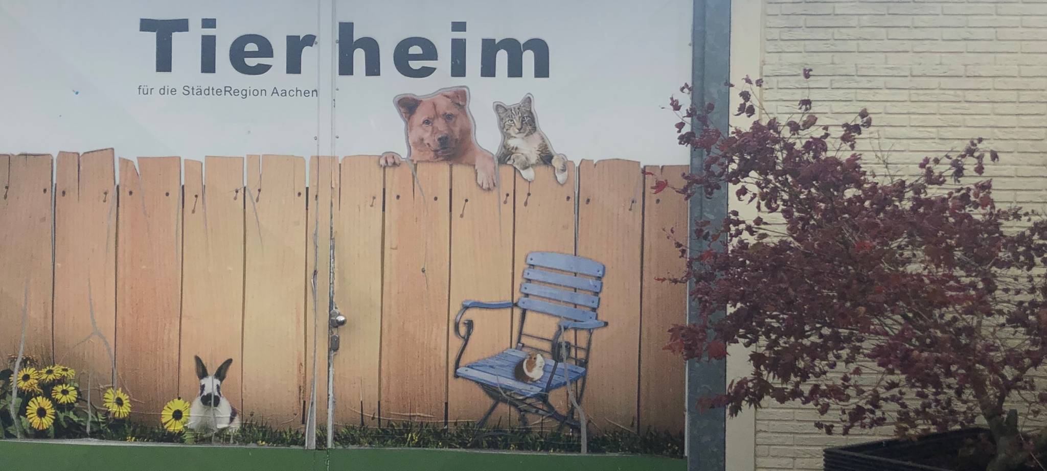 Viele beschlagnahmte Tiere im Aachener Tierheim