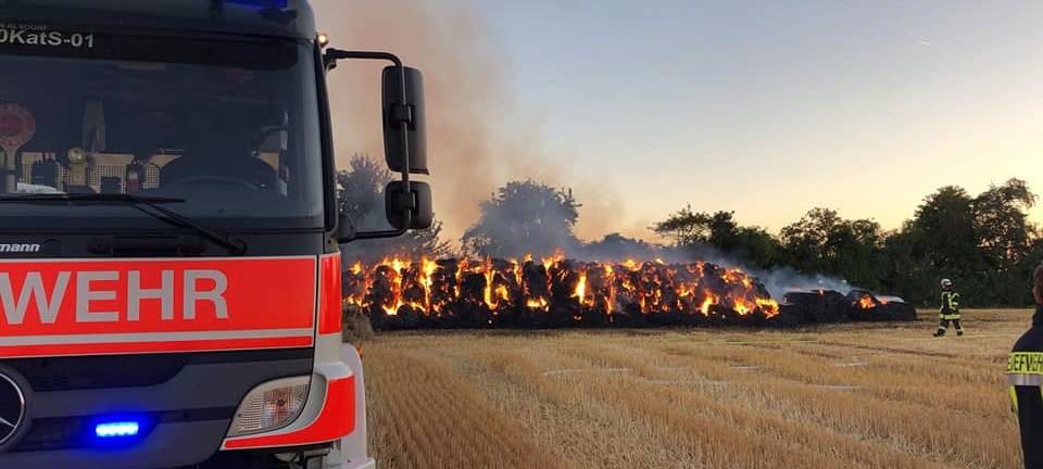 Knotenpunkte für Waldgebiete in Alsdorf