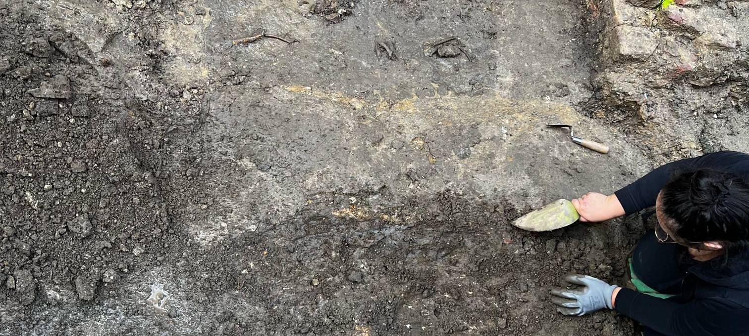 Skelette bei Bauarbeiten gefunden