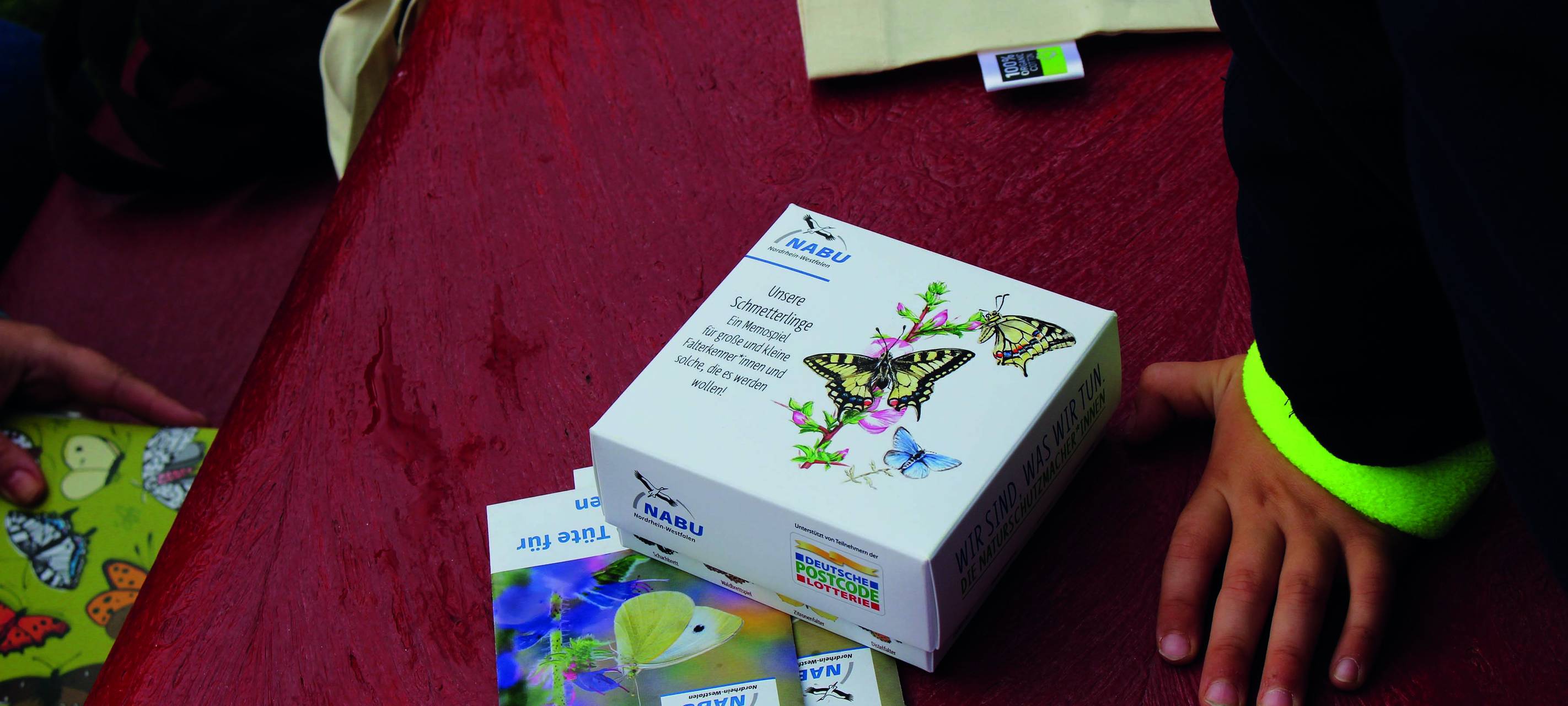 Schmetterlingsfreundliche Gärten in Schulen und Kitas