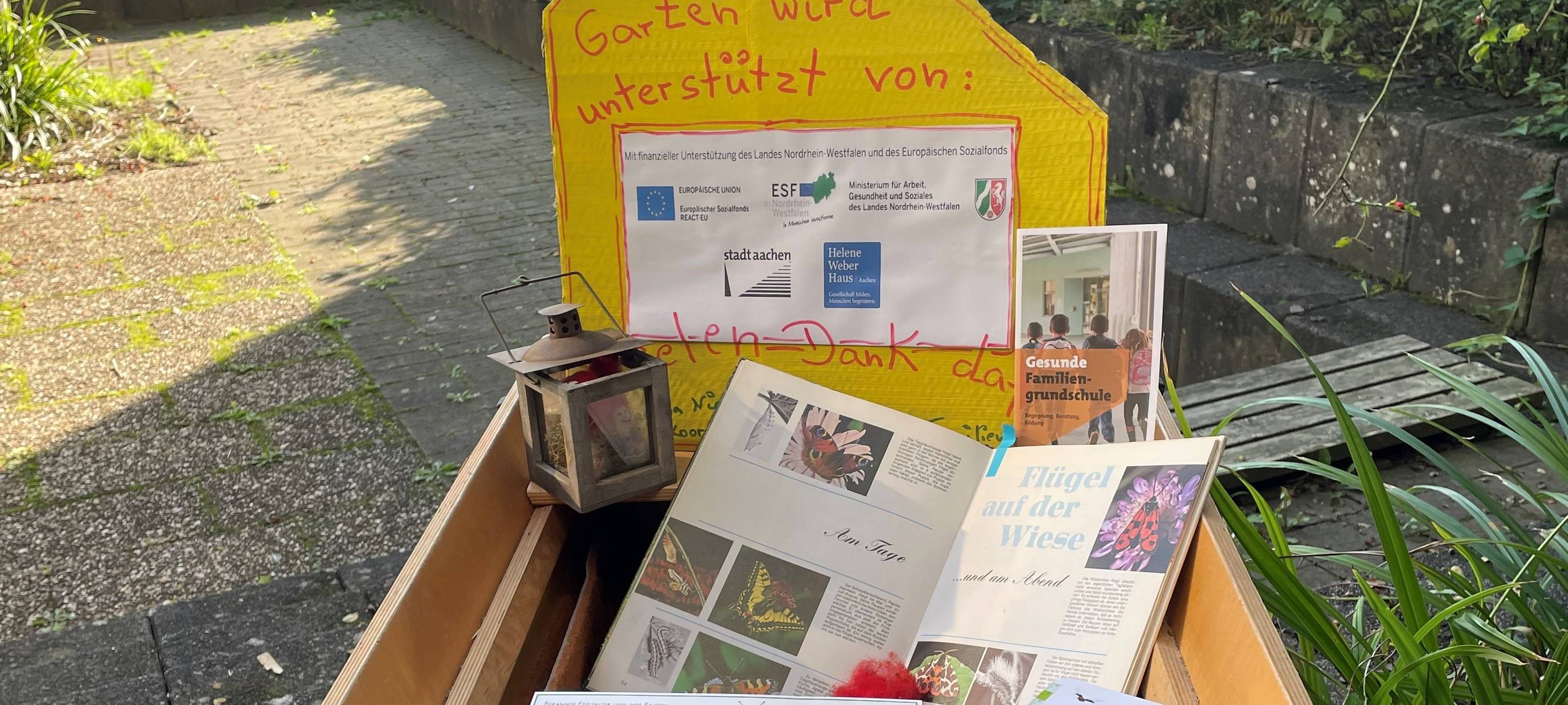 Schmetterlingsfreundliche Gärten in Schulen und Kitas